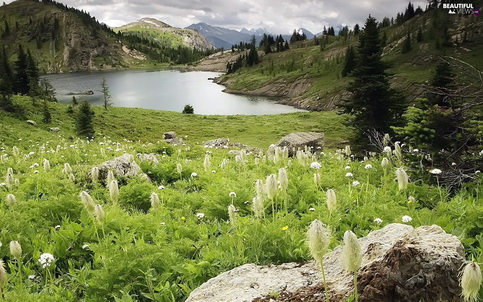 lake, Mountains, Meadow