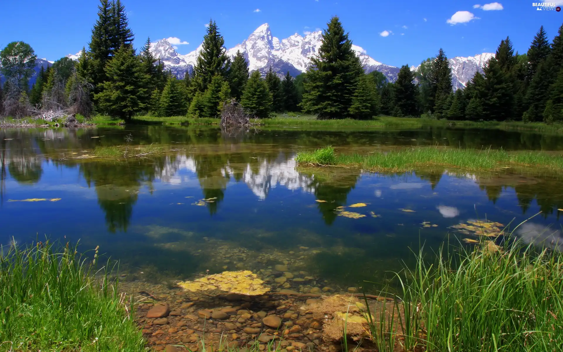 Sky, forest, lake, Mountains