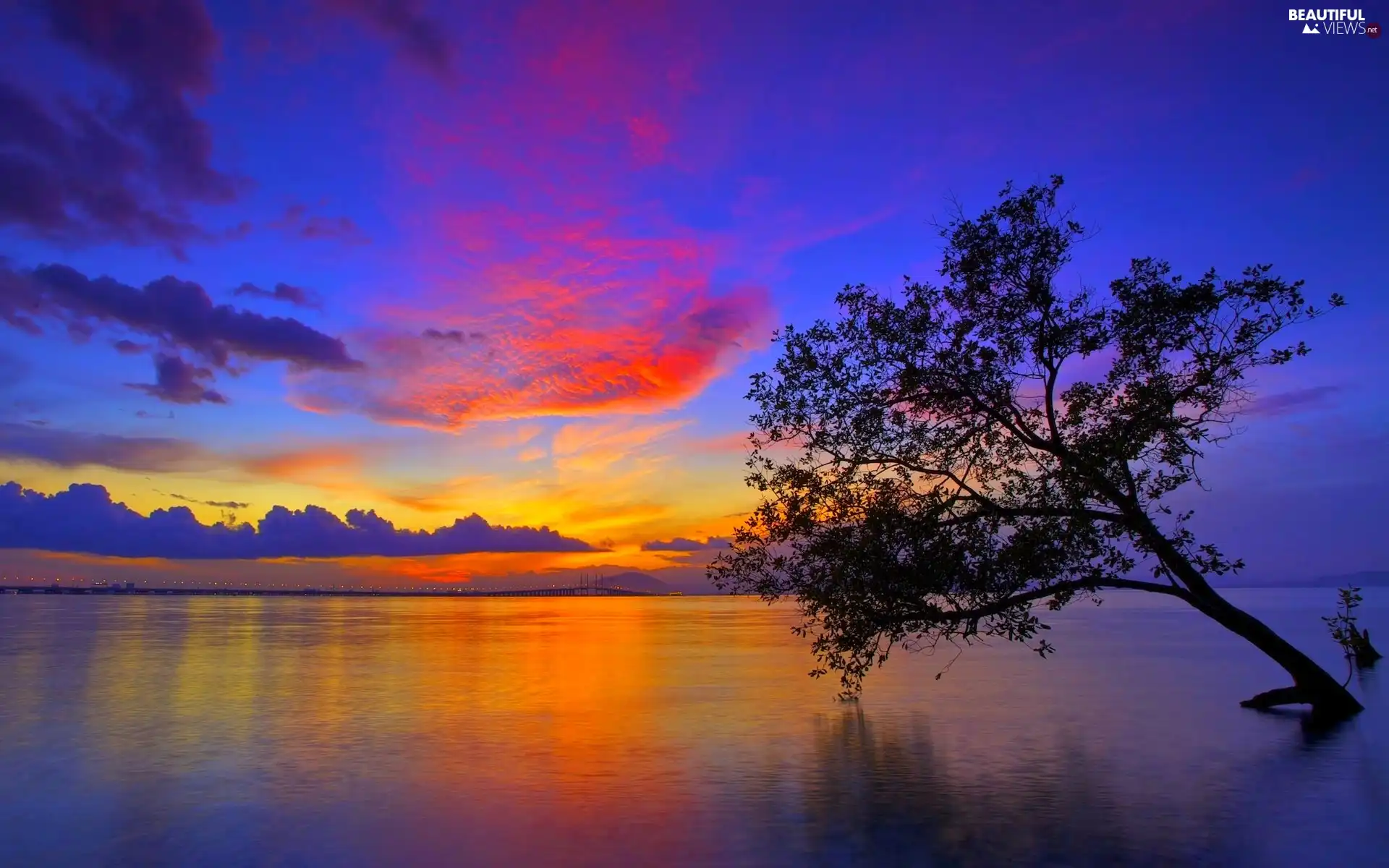 Great Sunsets, trees, lake