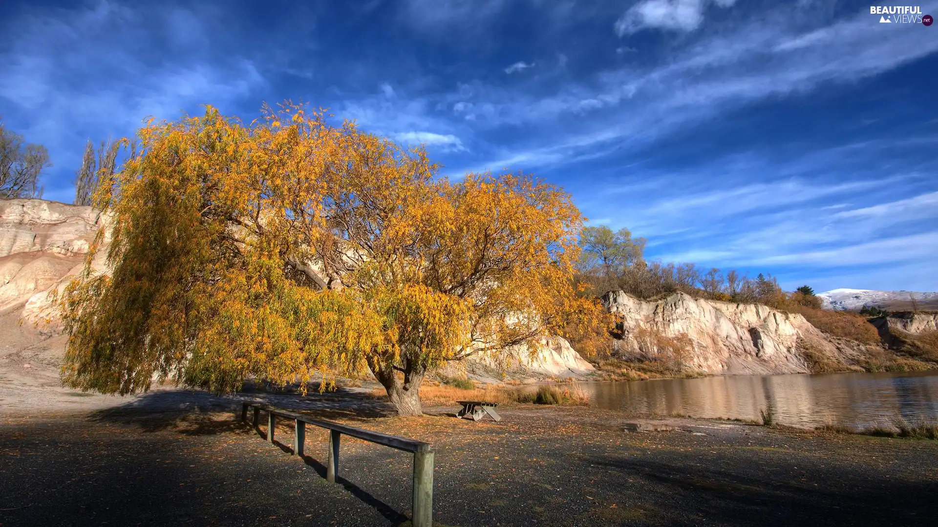 trees, rocks, lake, Bench