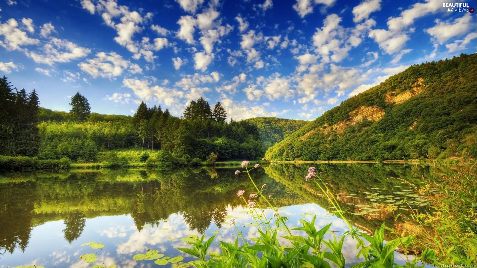 lake, Mountains, woods