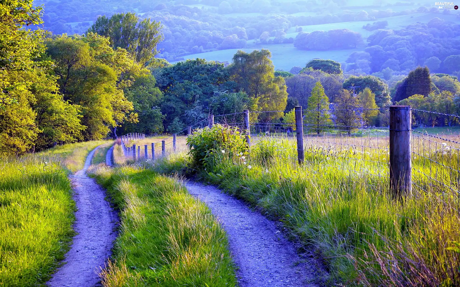 Field, fence, landscape, Way