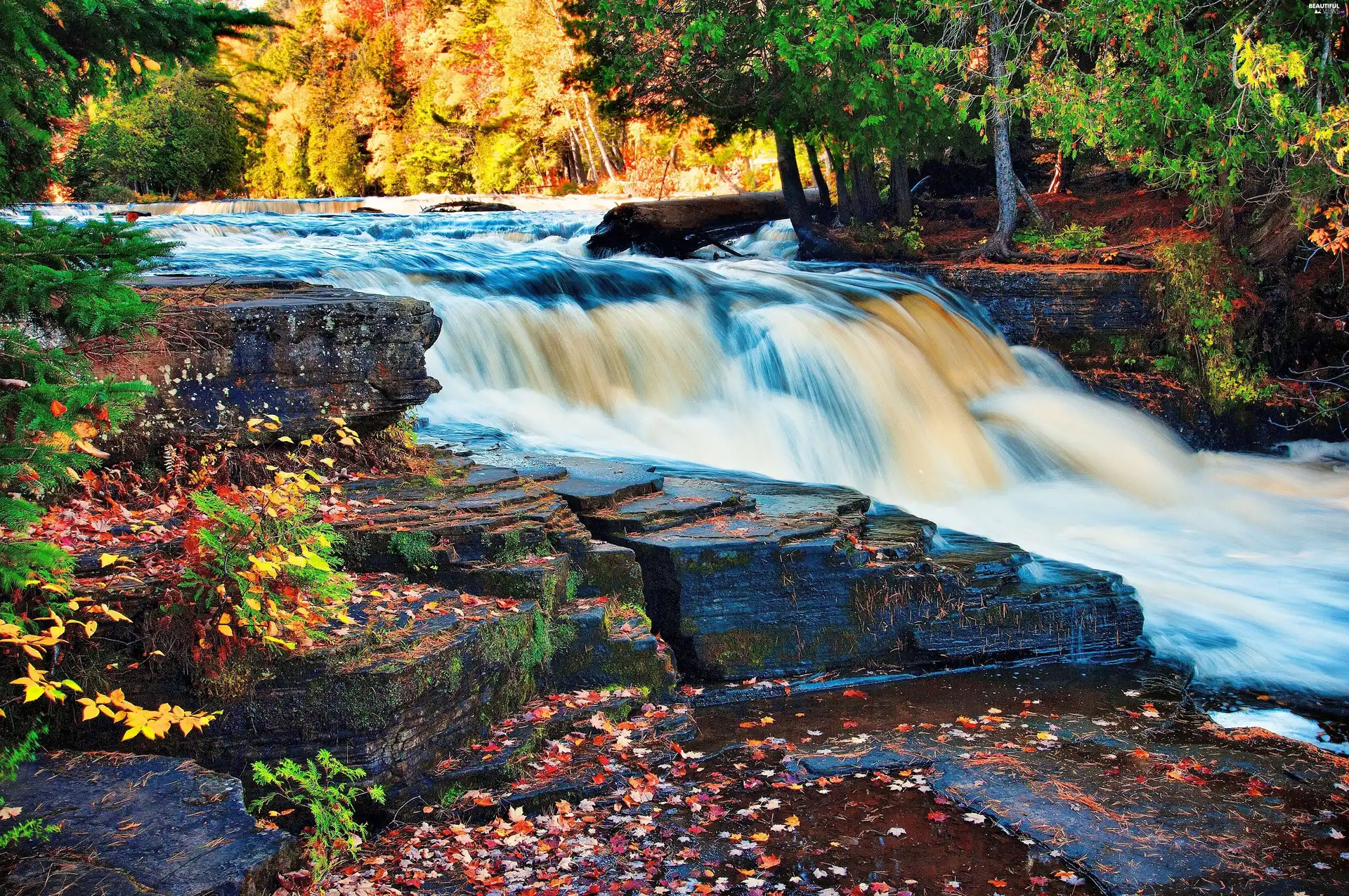 Leaf, autumn, rocks, forest, waterfall