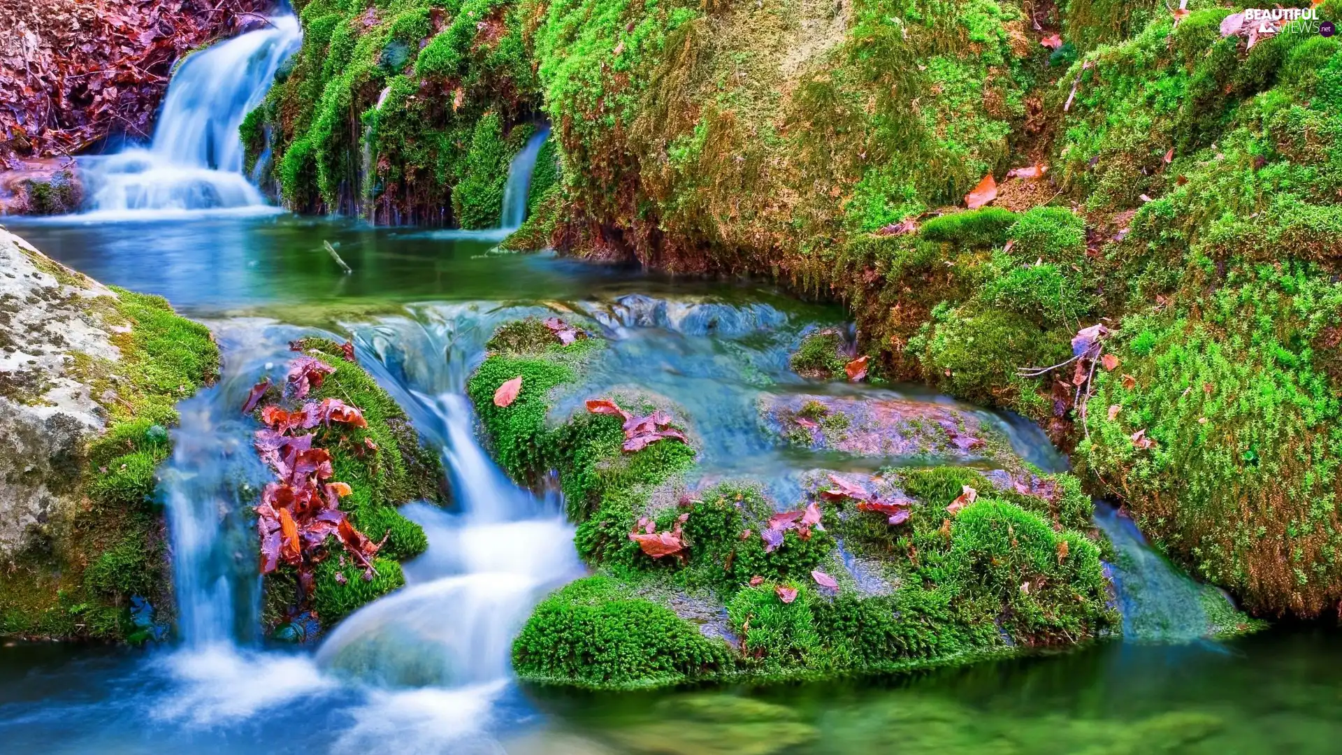 Rocks, Leaf, mosses, Mossy, River