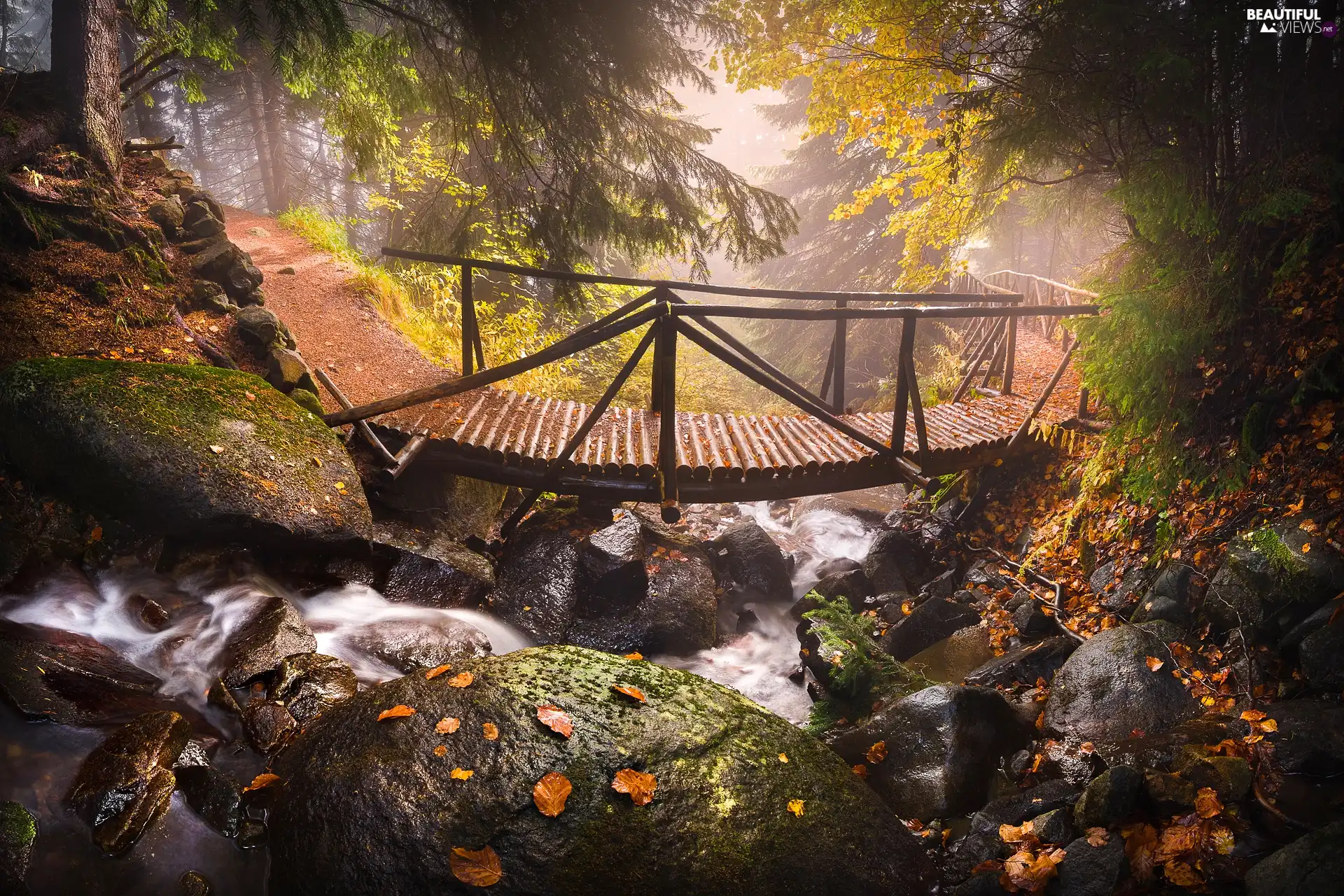 wooden, forest, Stones, Leaf, bridge, River