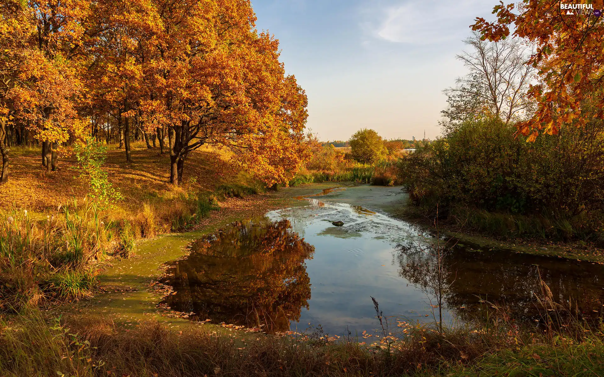 Pond - car, trees, Leaf, clouds, autumn, viewes