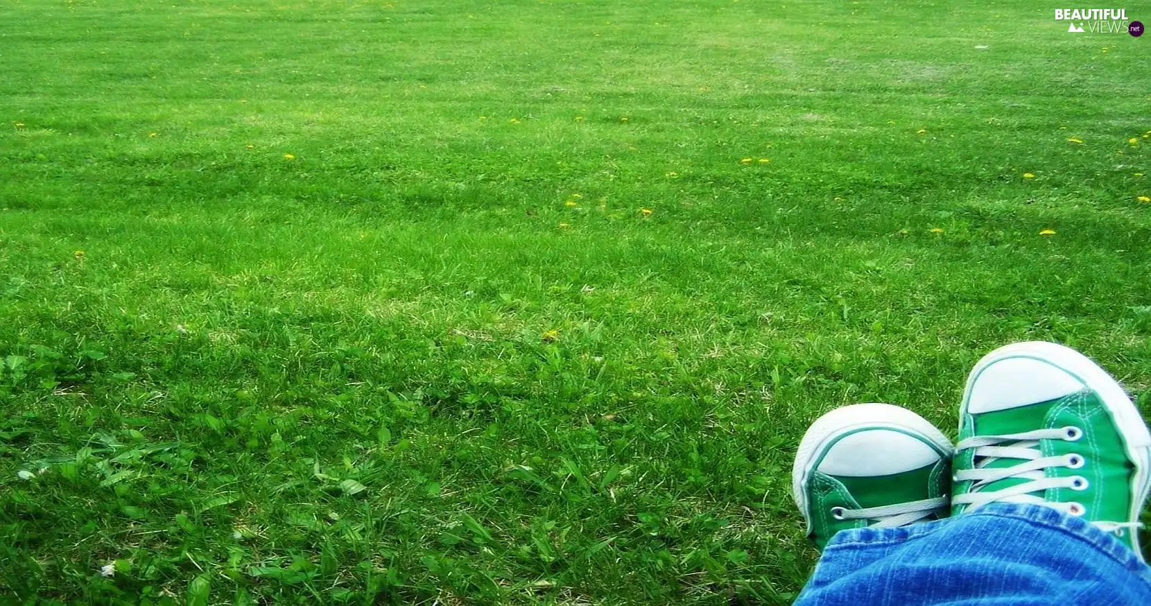 legs, Lawn, sneakers