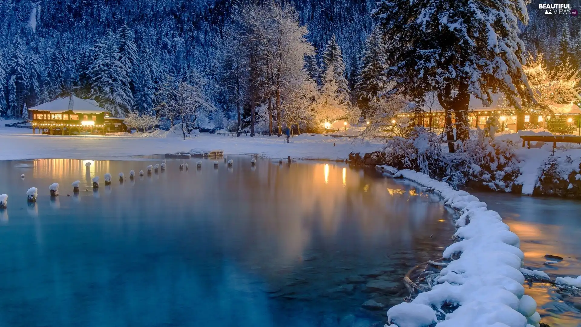 viewes, forest, Houses, trees, winter, Pond - car, light