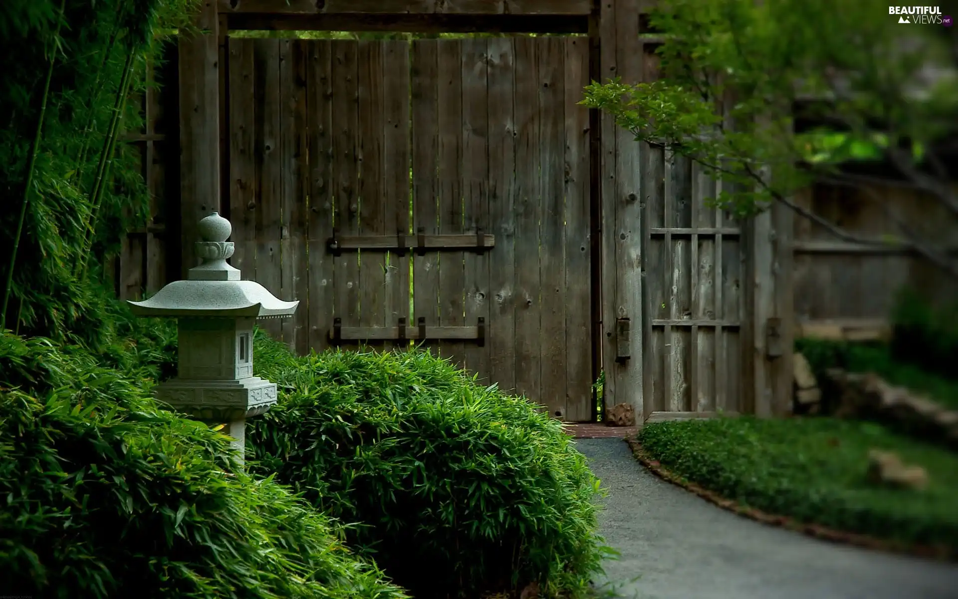 Gate, Bush, Lighthouse, Garden