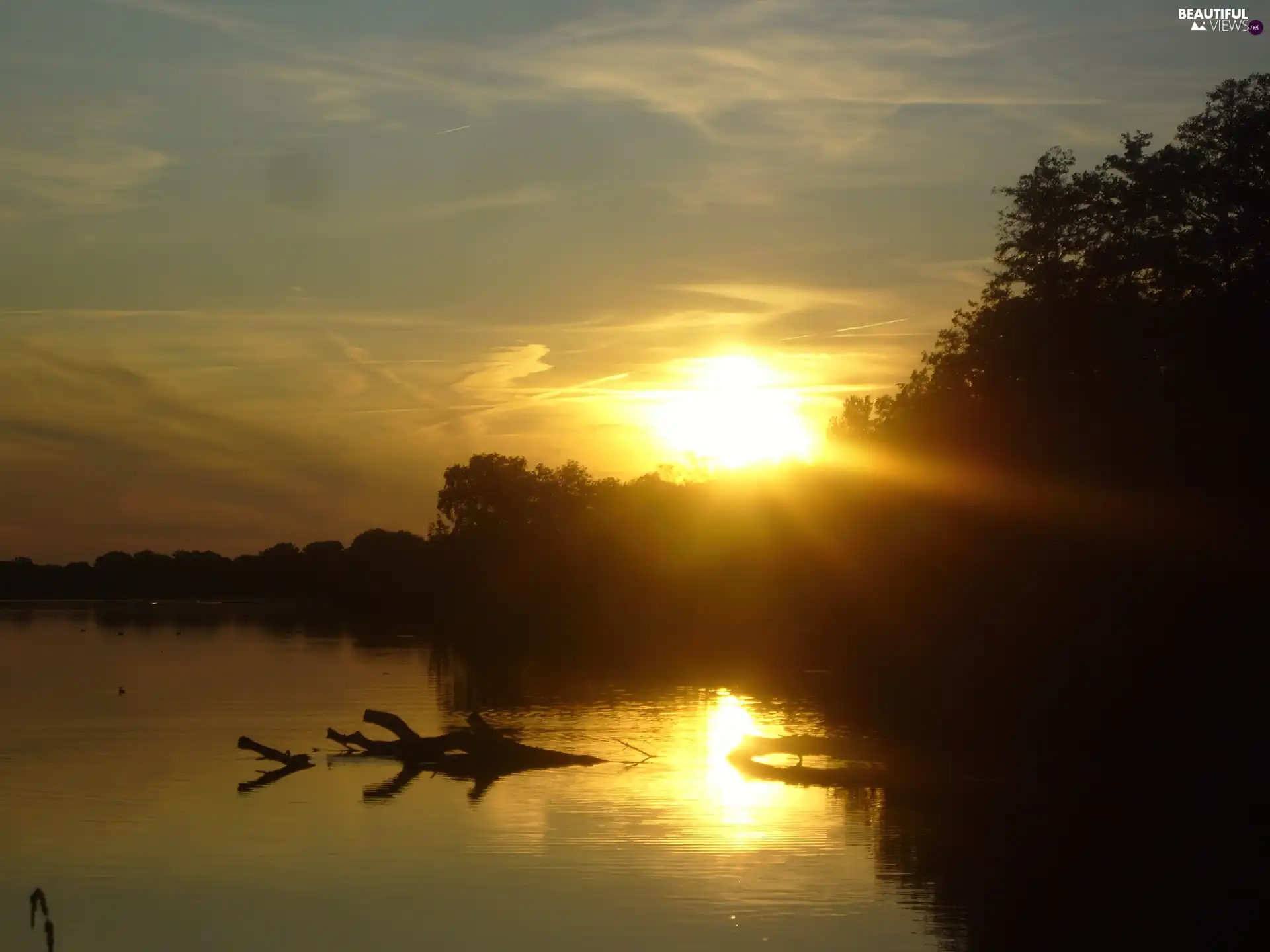 west, lake, log, sun