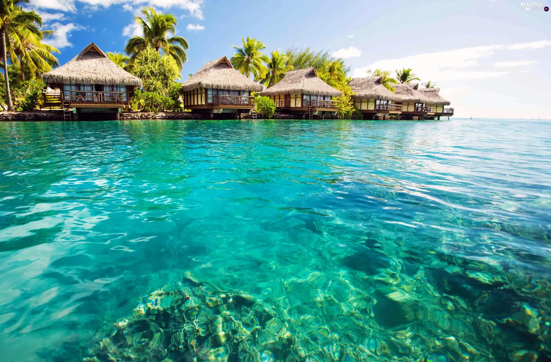 Houses, Tropical, Maldives, sea