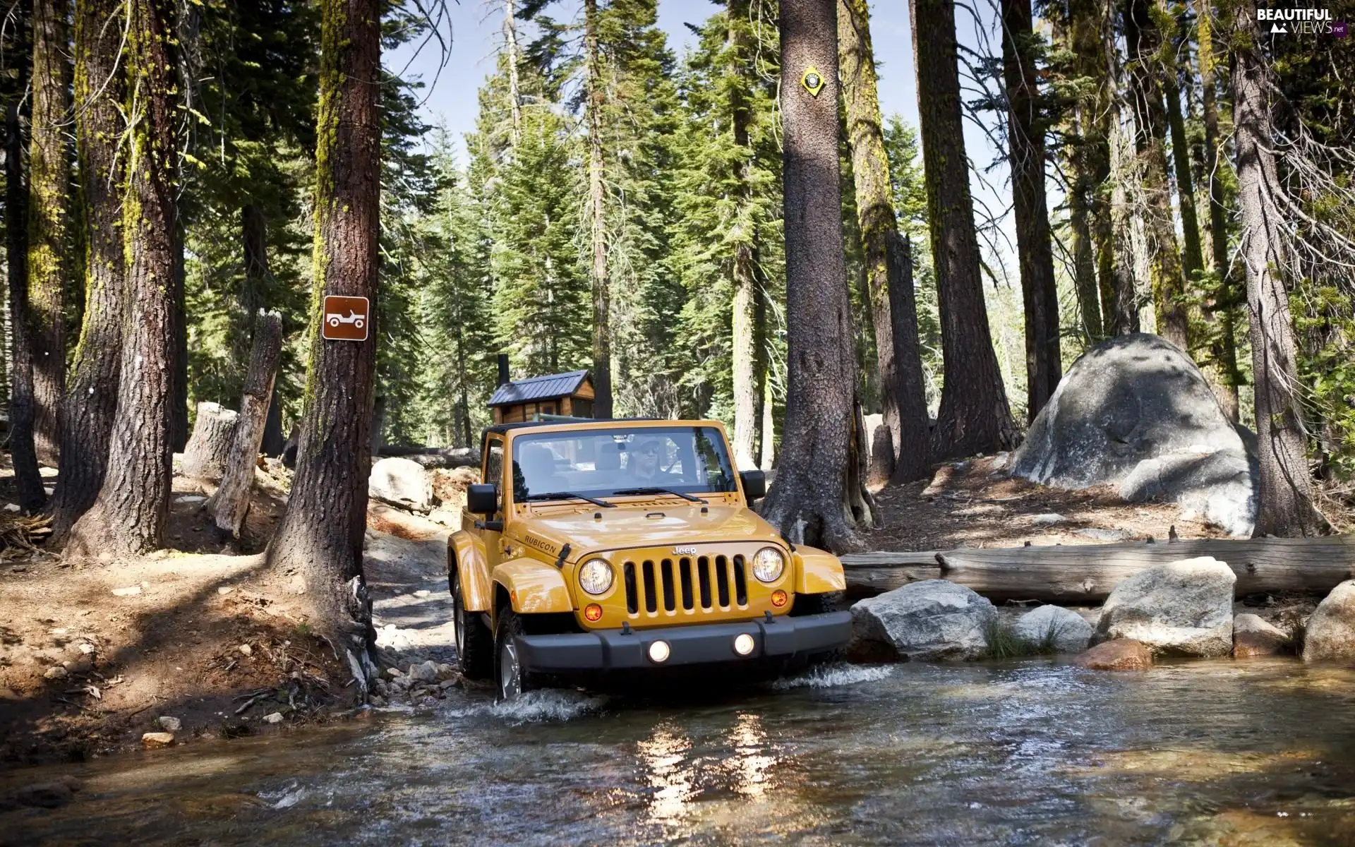 marshland, Stones, Wrangler, forest, jeep