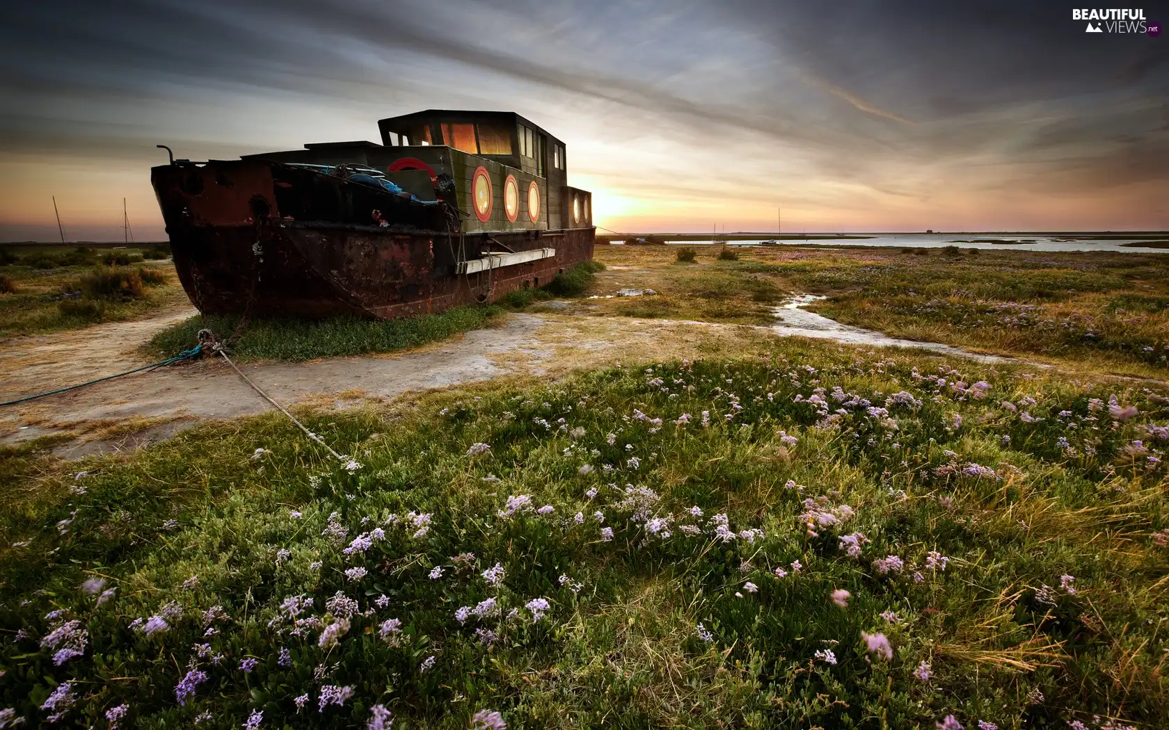 Meadow, wreck, boat