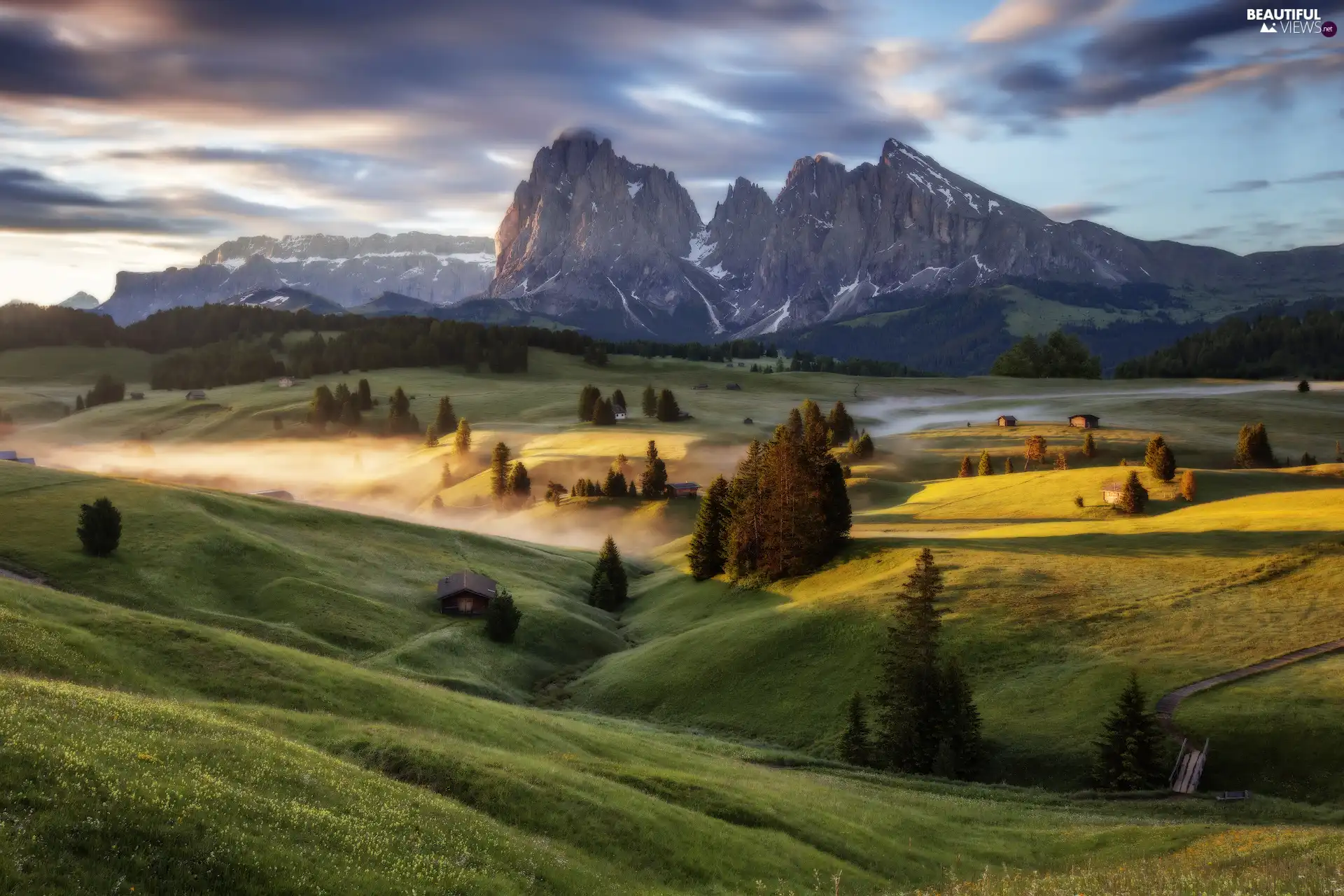 Fog, The Hills, trees, viewes, Seiser Alm Meadow, Italy, Sassolungo Mountains, Dolomites, Val Gardena Valley