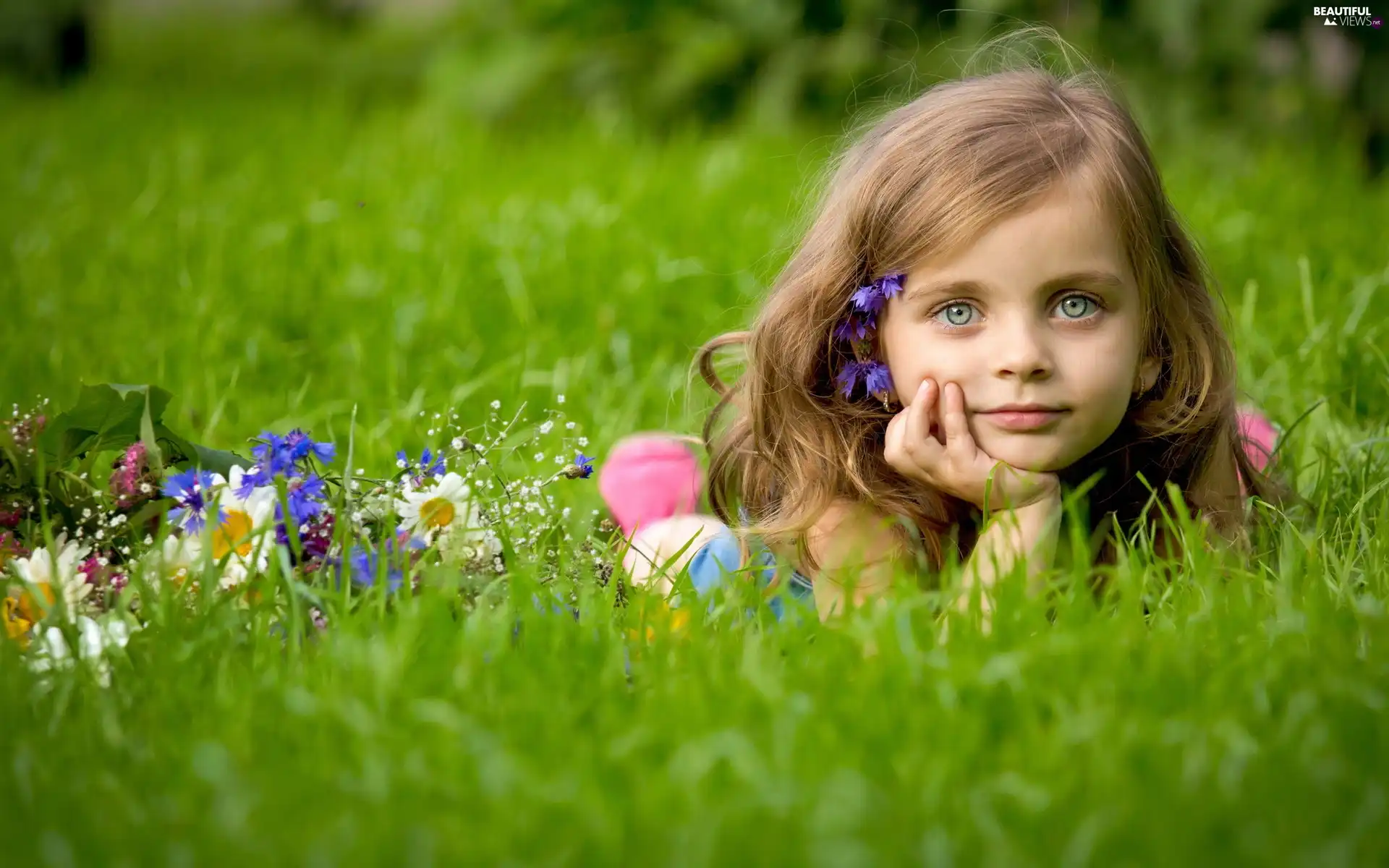 girl, Meadow