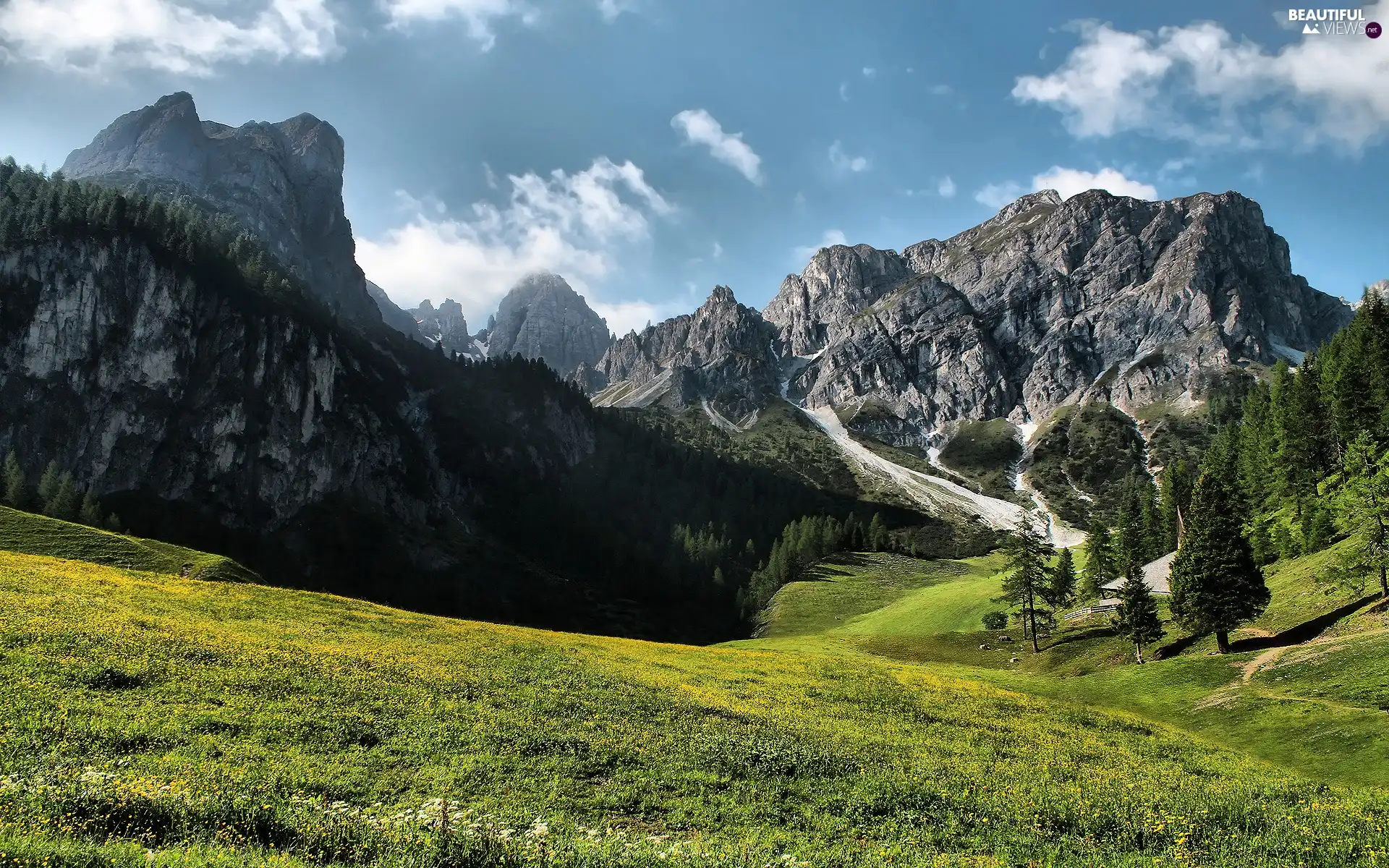 Mountains, Meadow