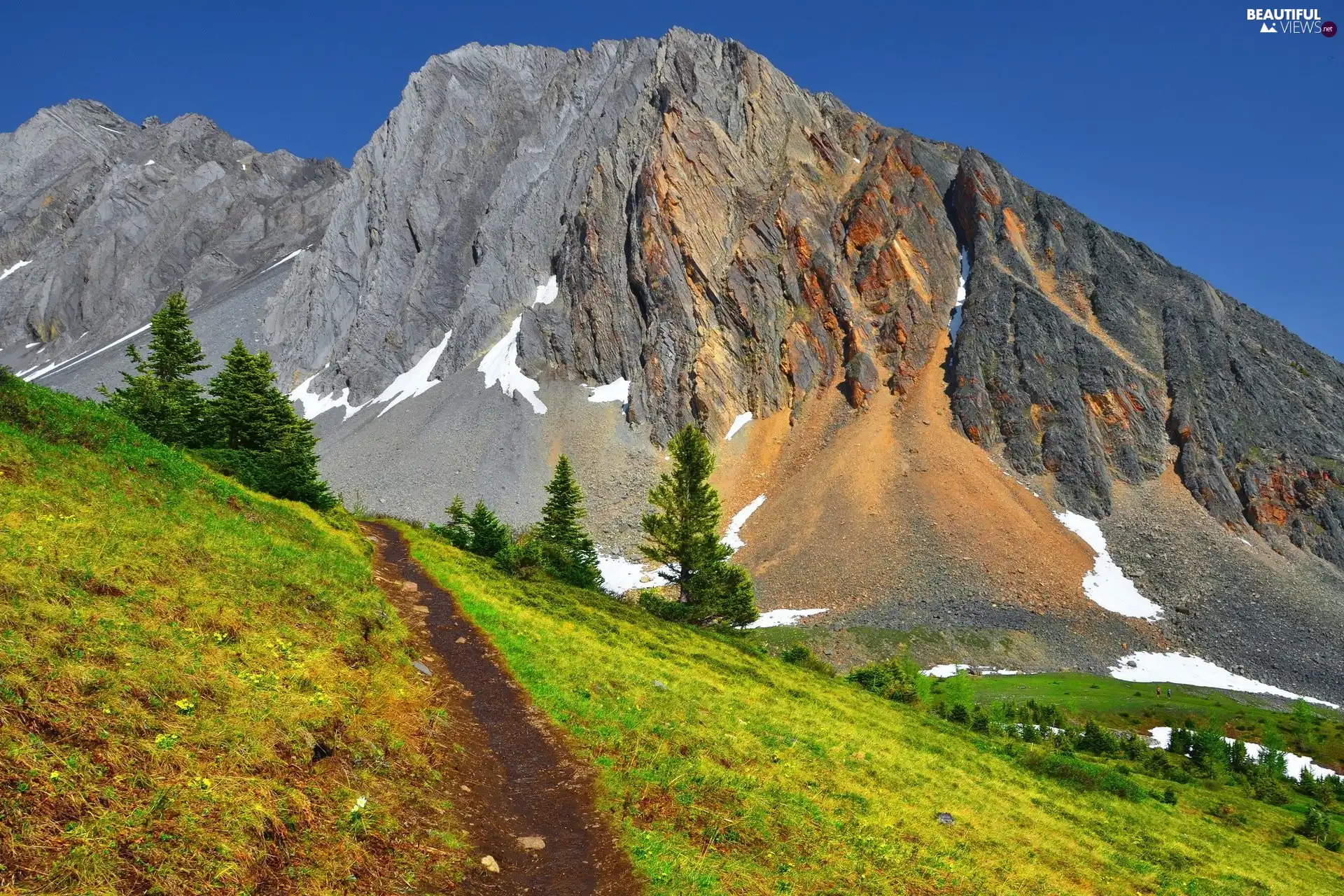 Mountains, Meadow