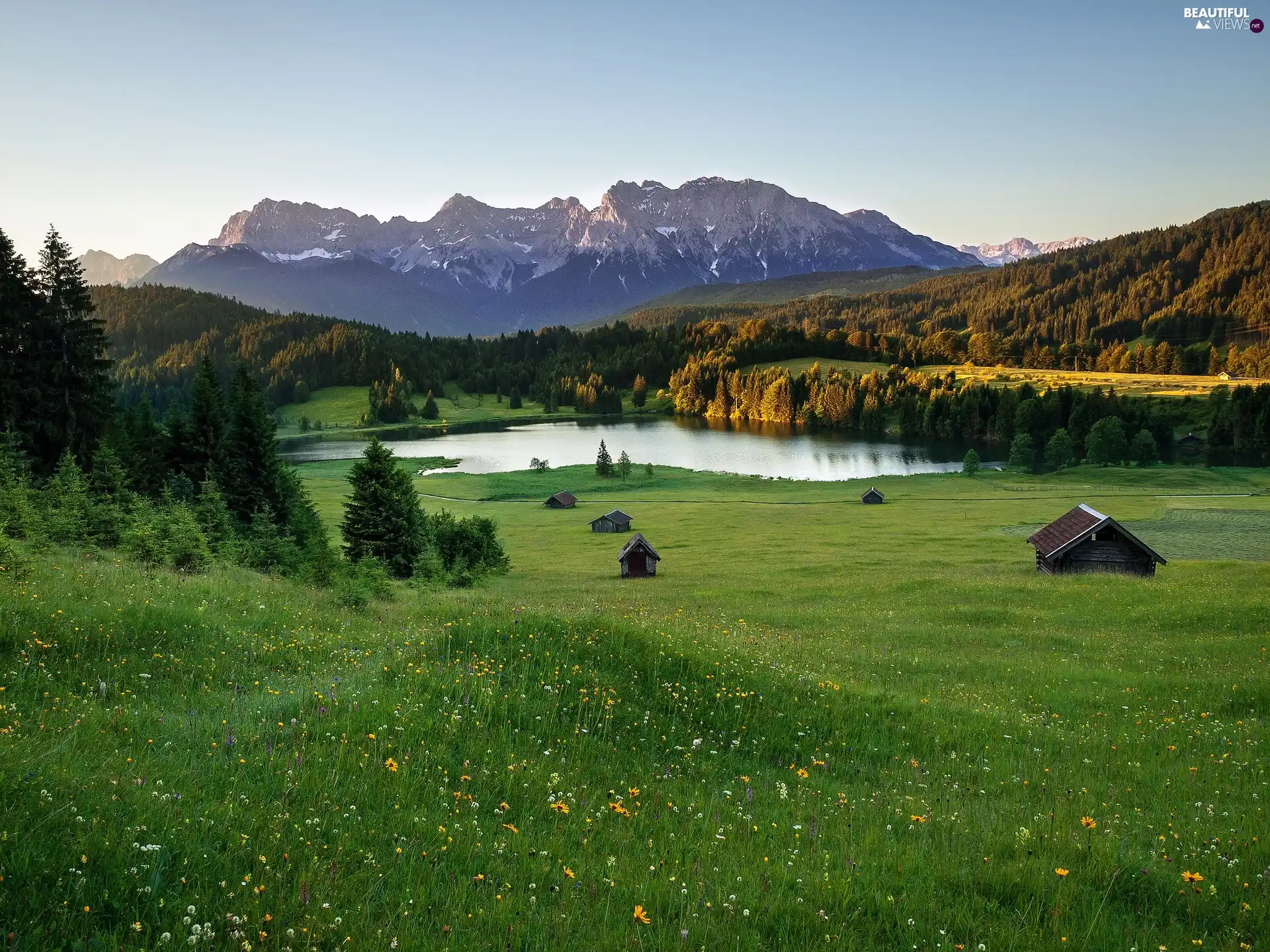 Meadow, Sheds, woods, lake, Mountains