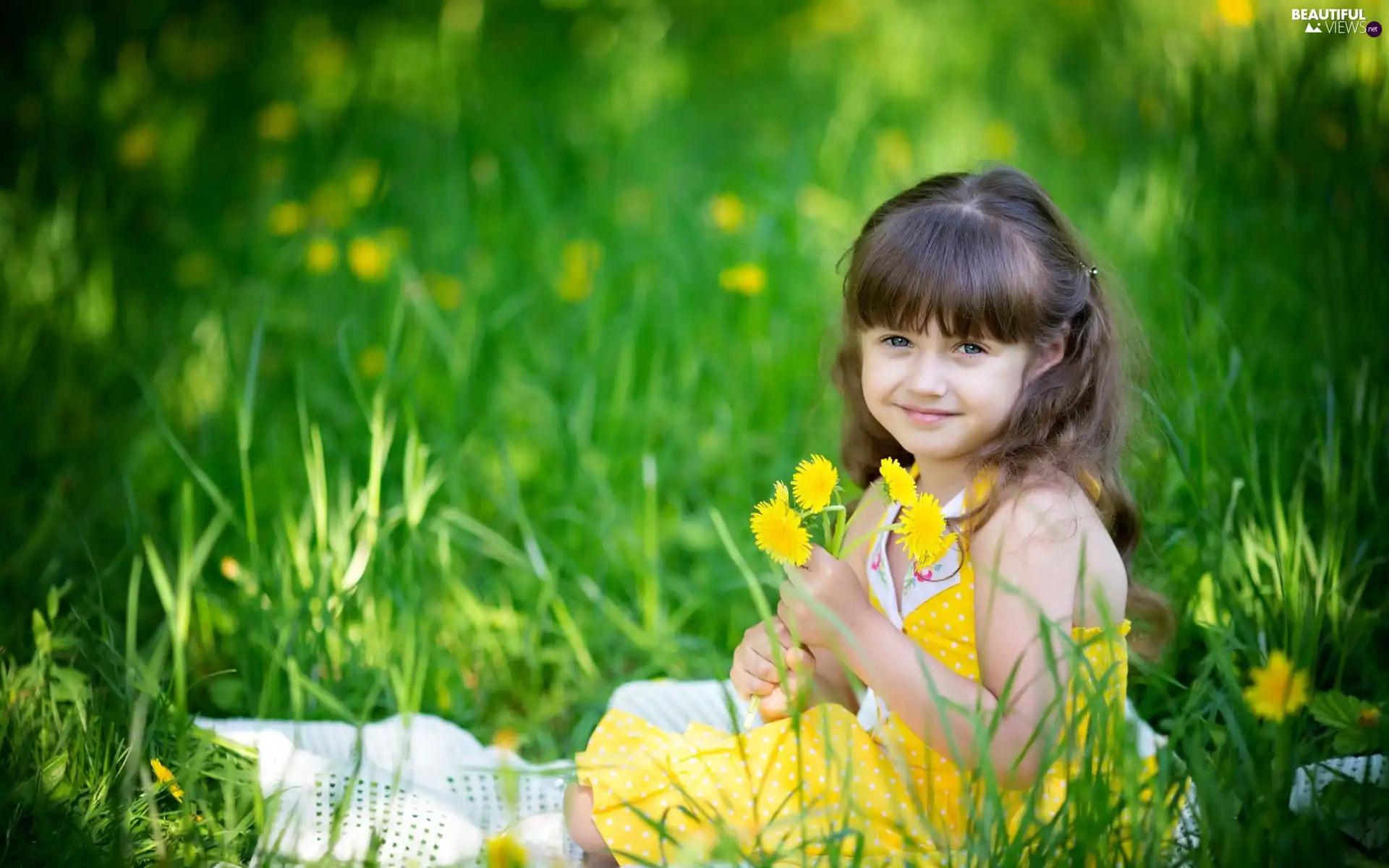 smiling, flowers, Meadow, girl