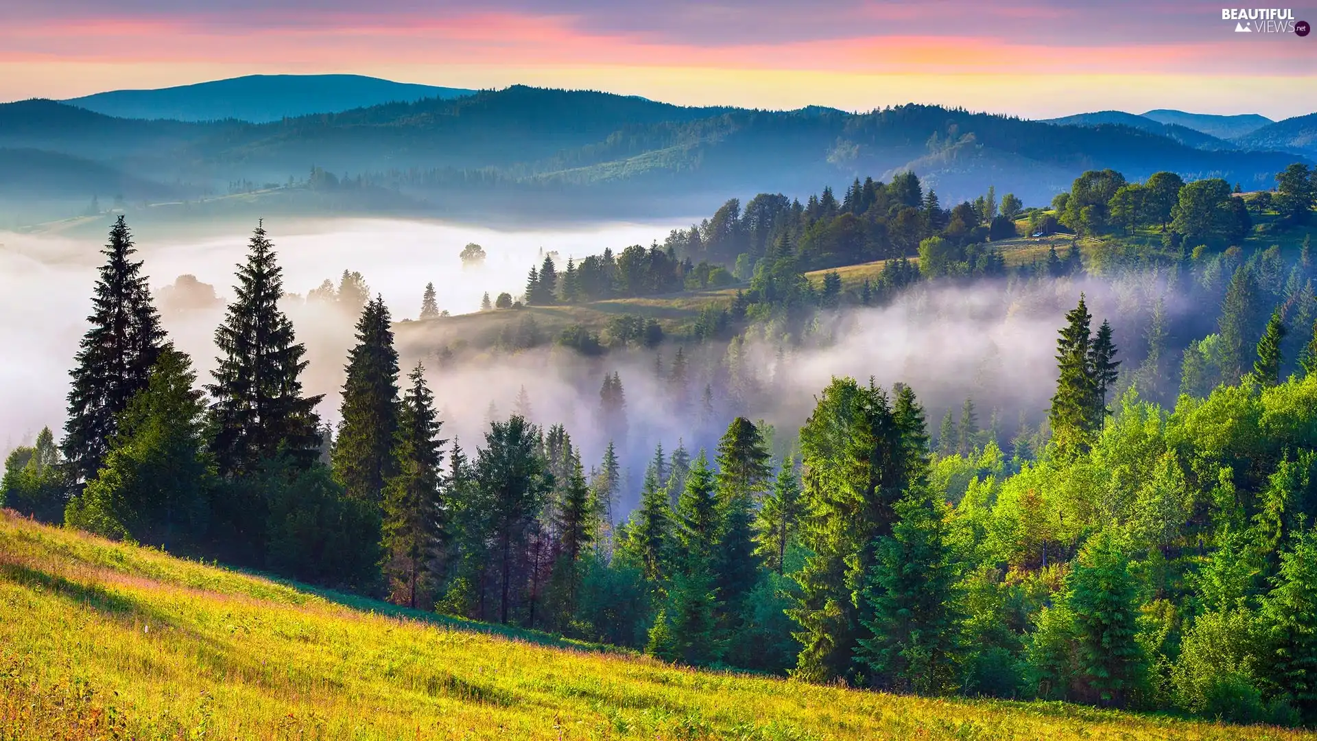 Sunrise, Meadow, woods, Fog, Mountains