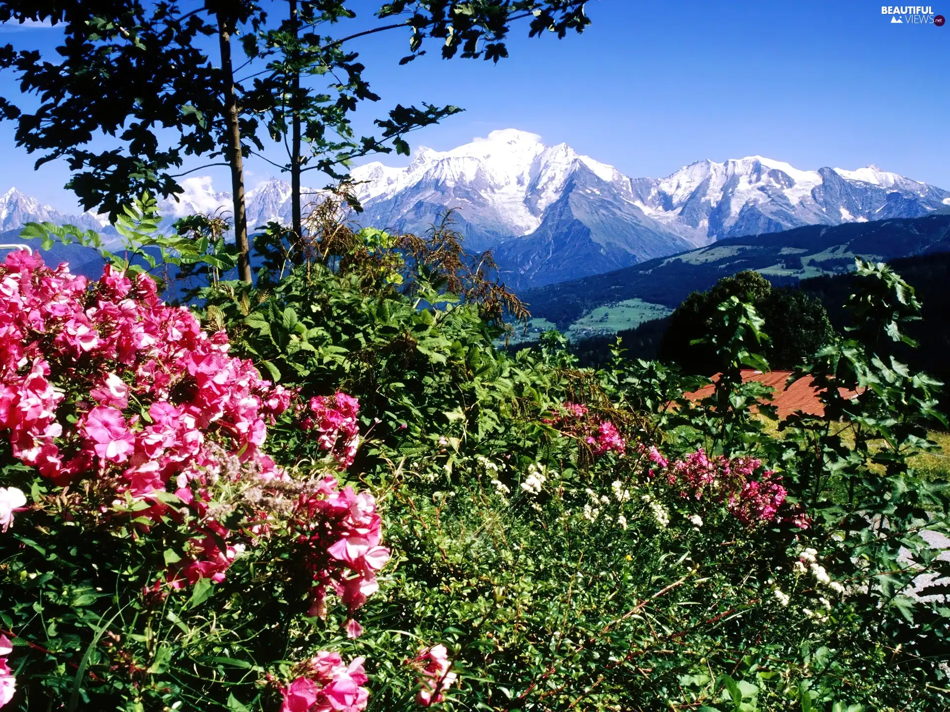 France, Mountains, Mont Blanc