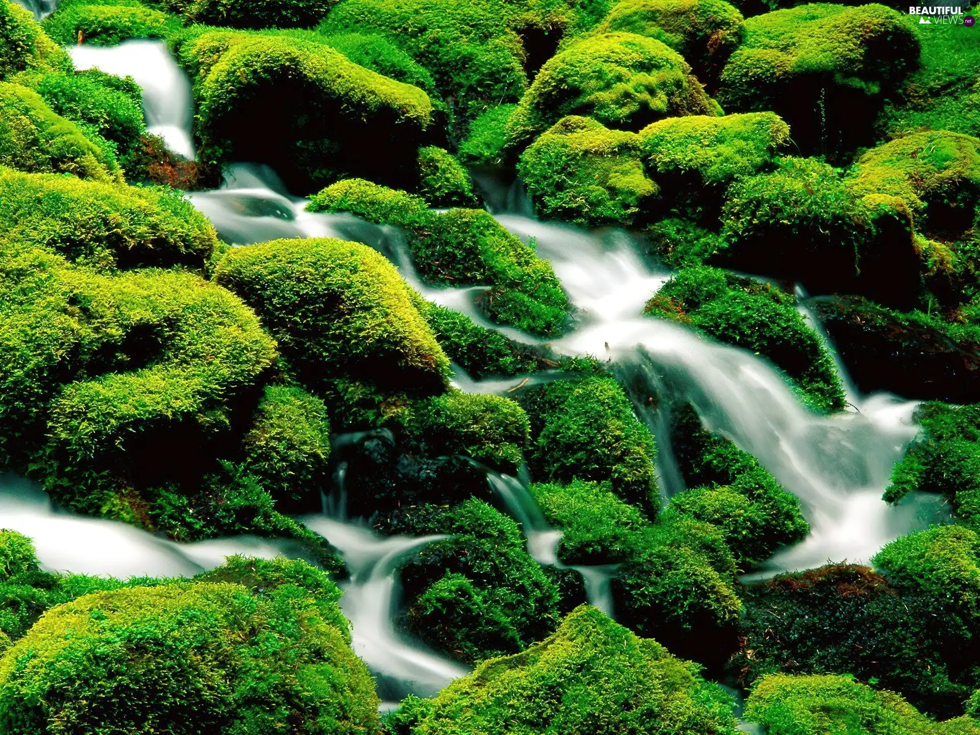 waterfall, Moss