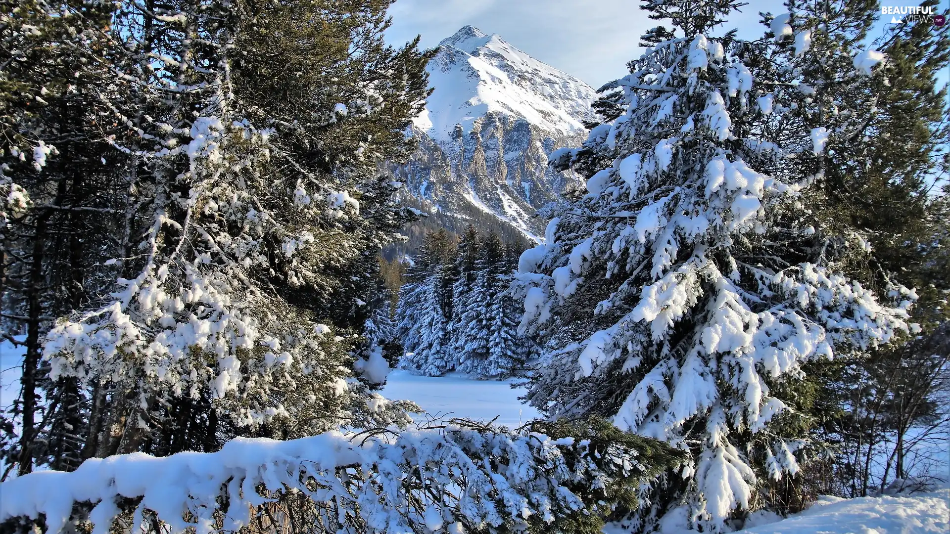 snowy, mount, forest, Mountains, winter