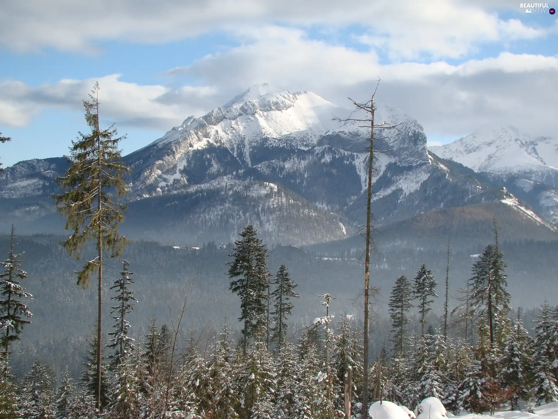 mountain, Snowy, peaks