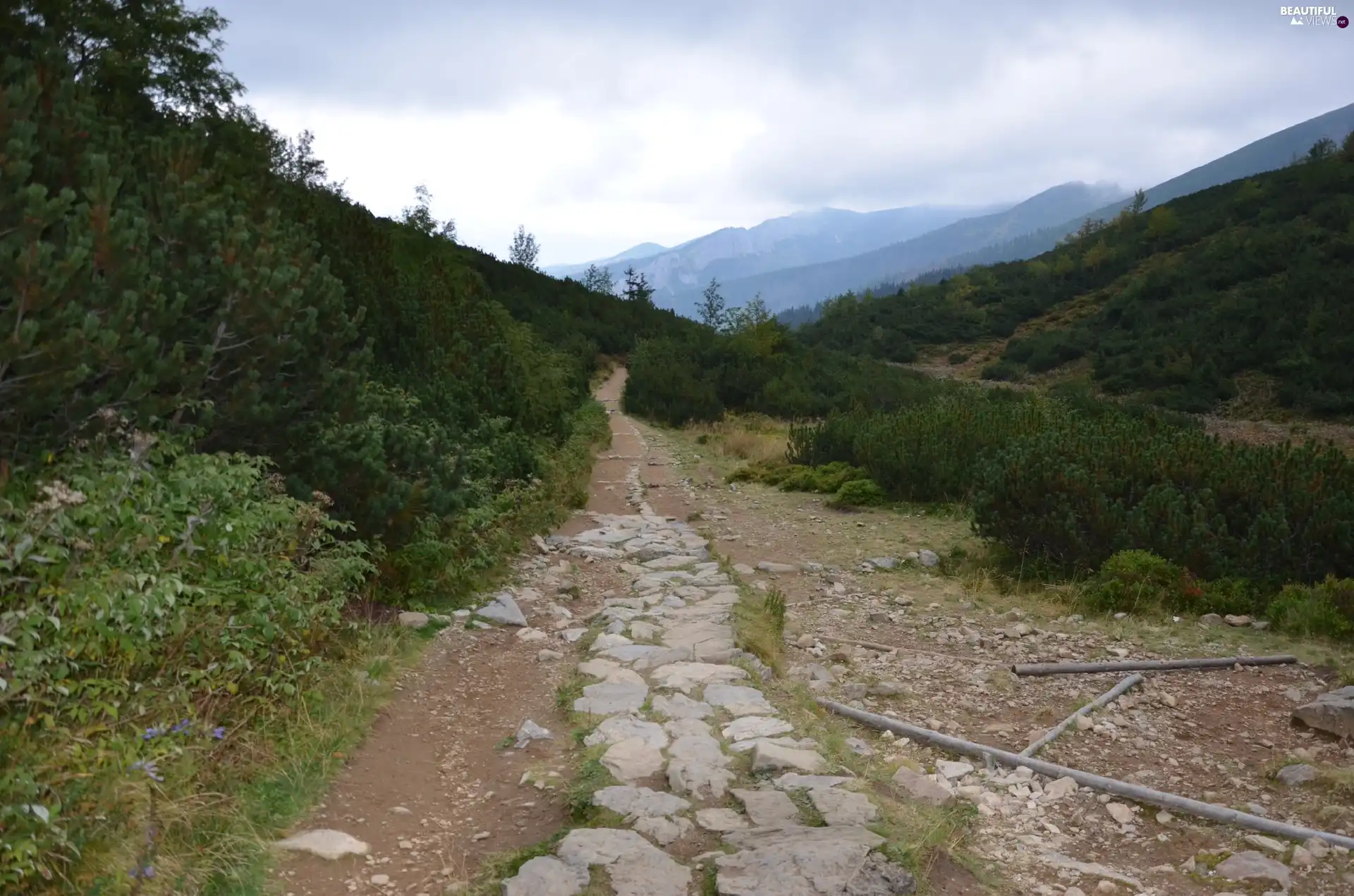 trail, mountainous