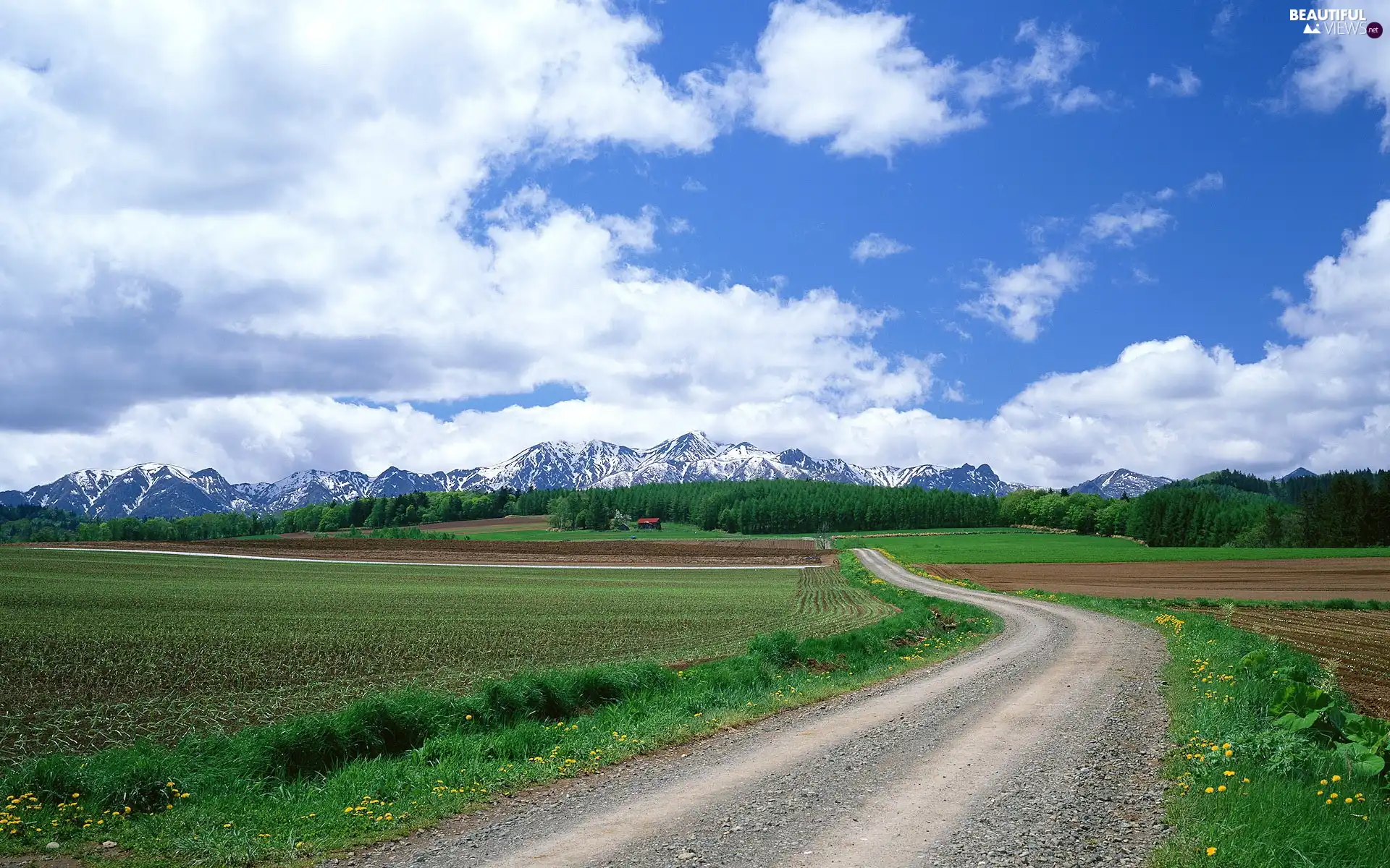 Mountains, clouds, field, Farms, Way