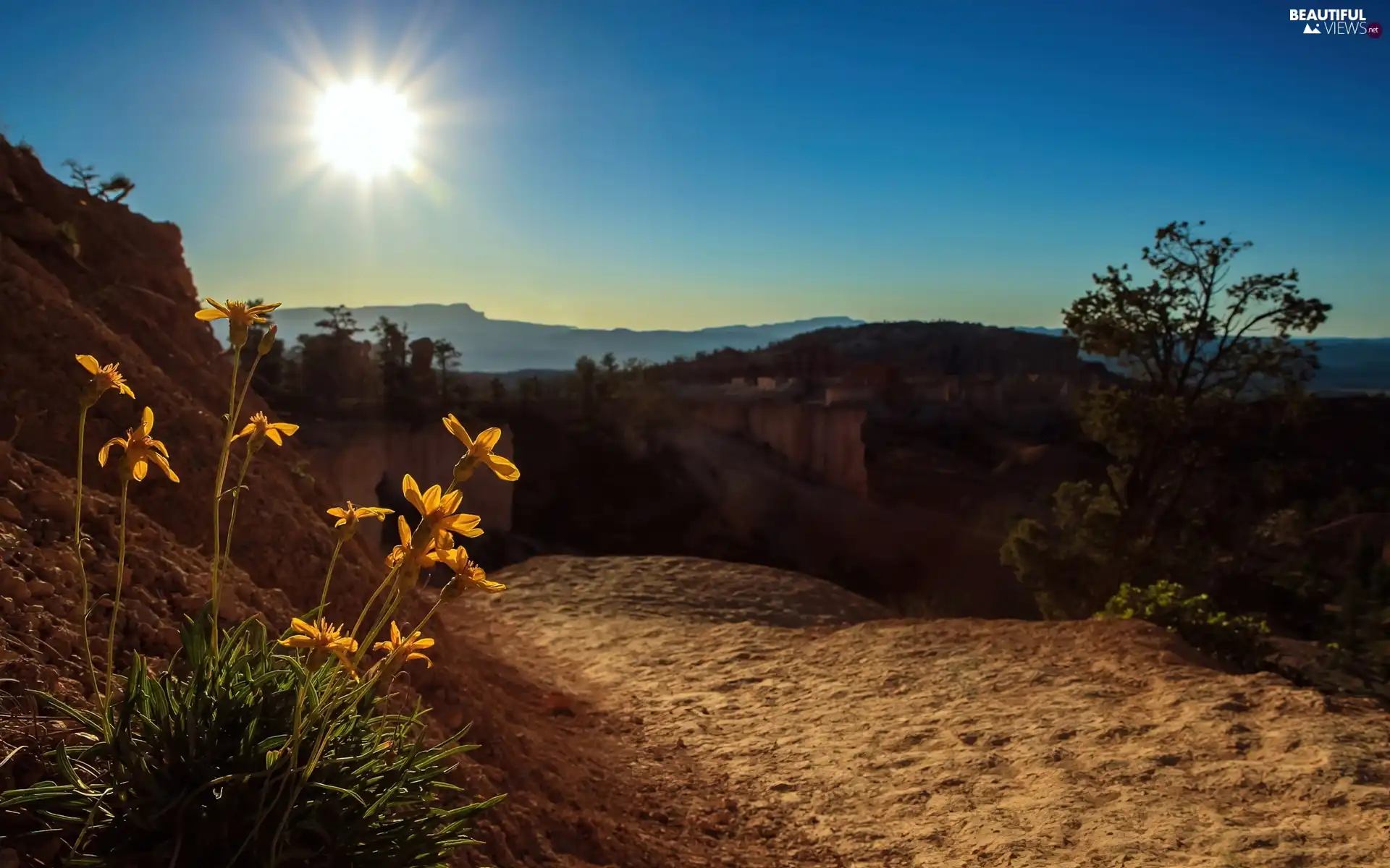 Mountains, Flowers, rays, sun, Way