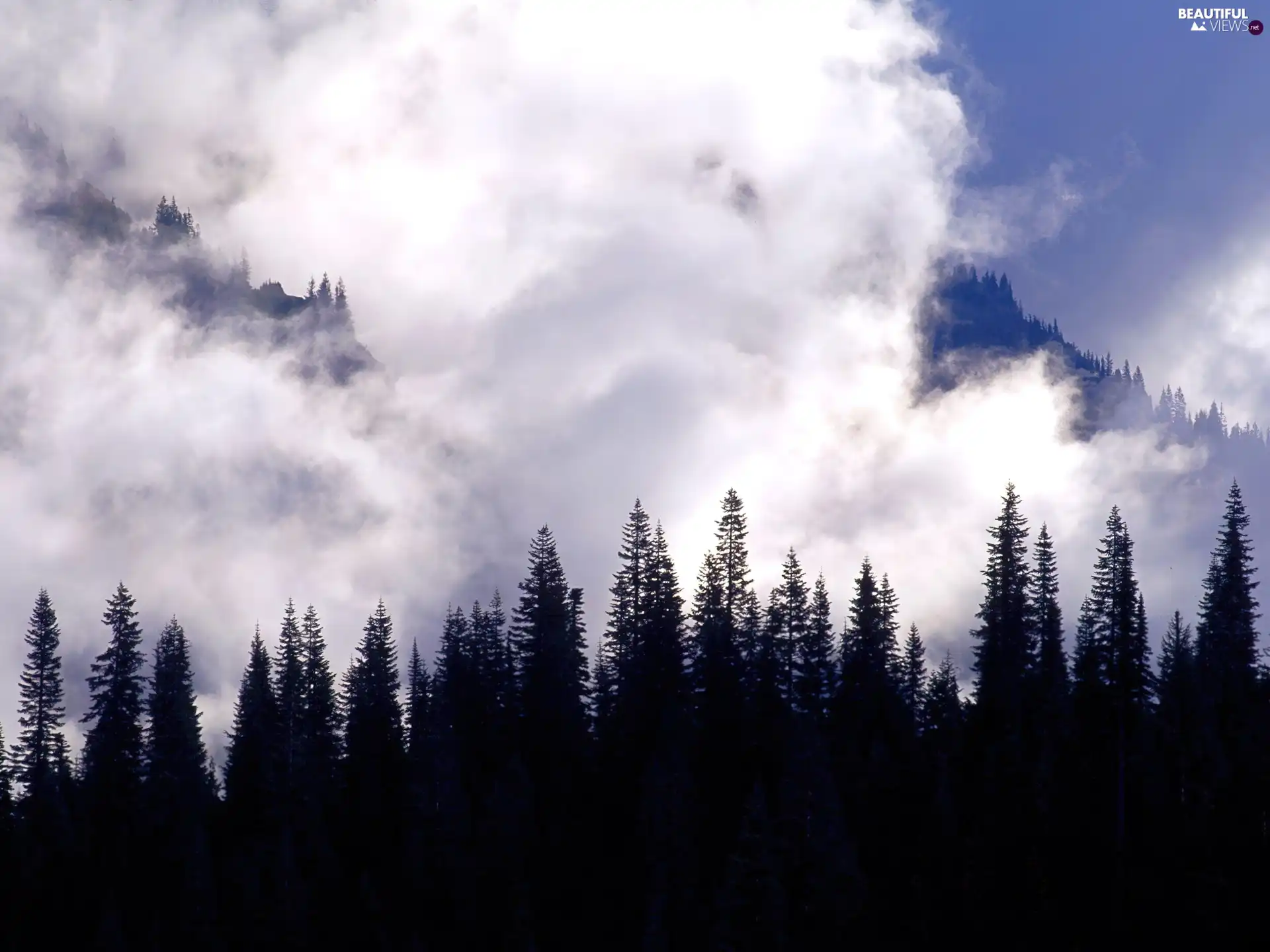 Mountains, Cloud, forest