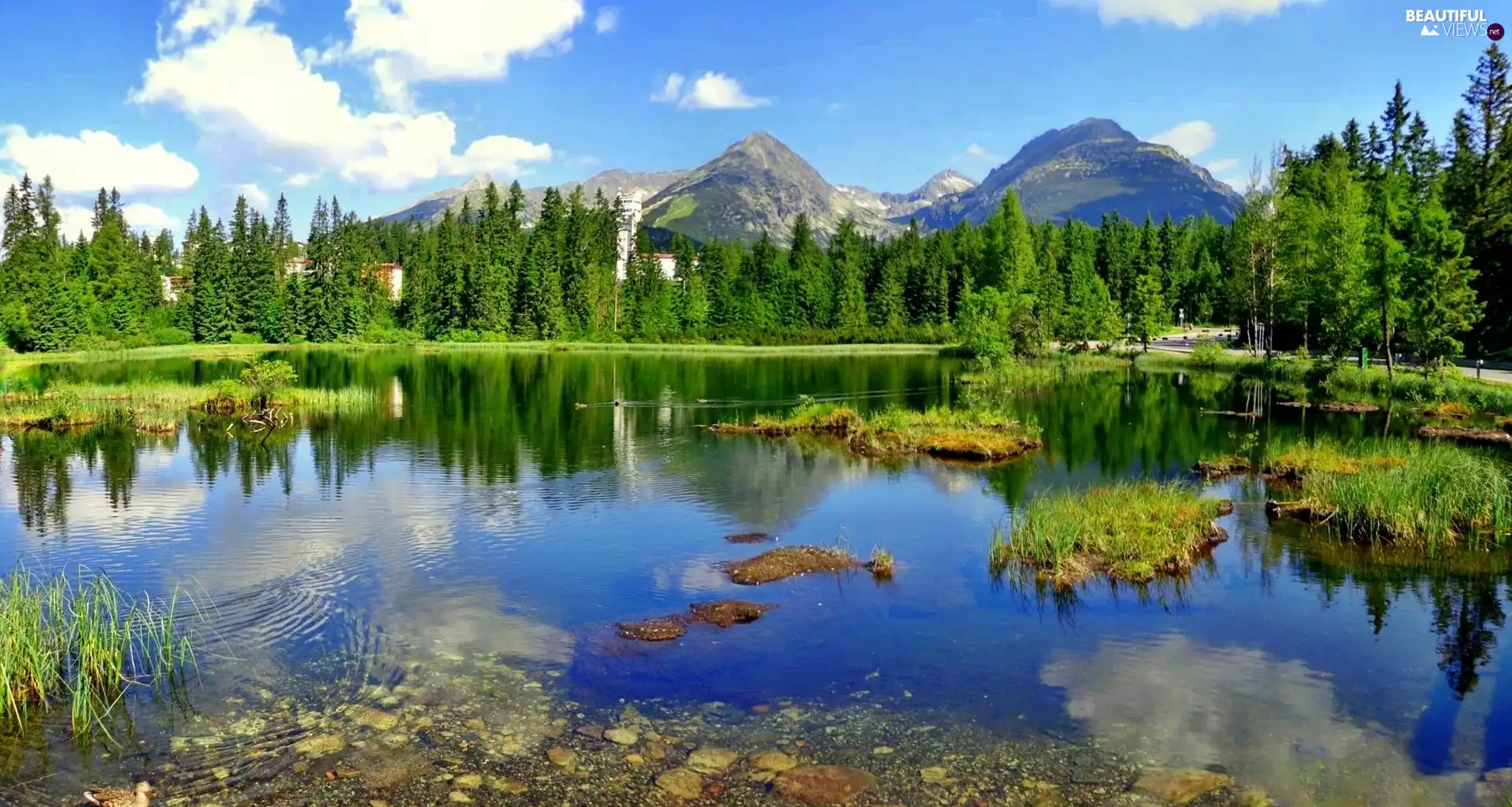 Mountains, lake, forest