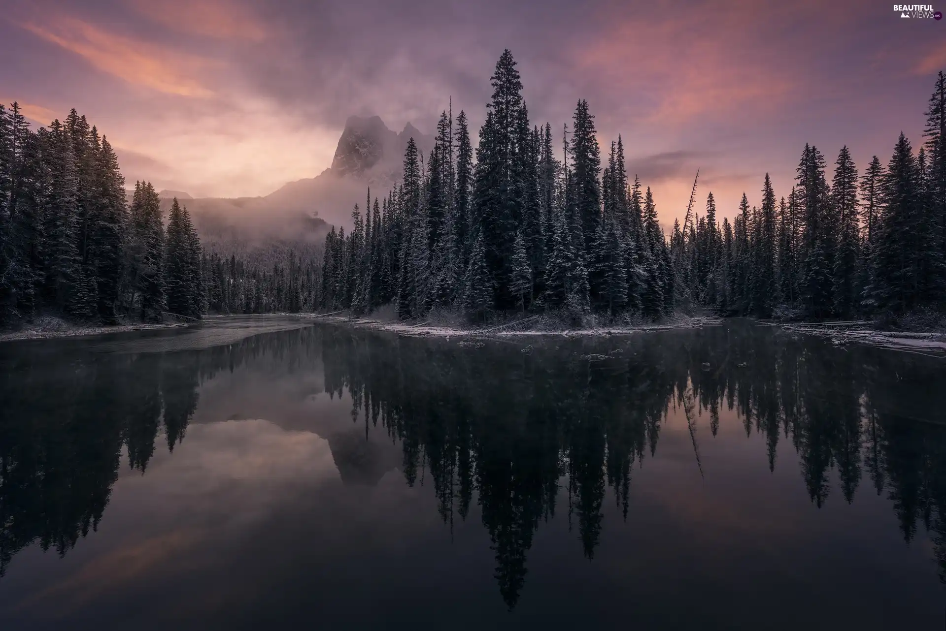 trees, River, reflection, Mountains, viewes, forest