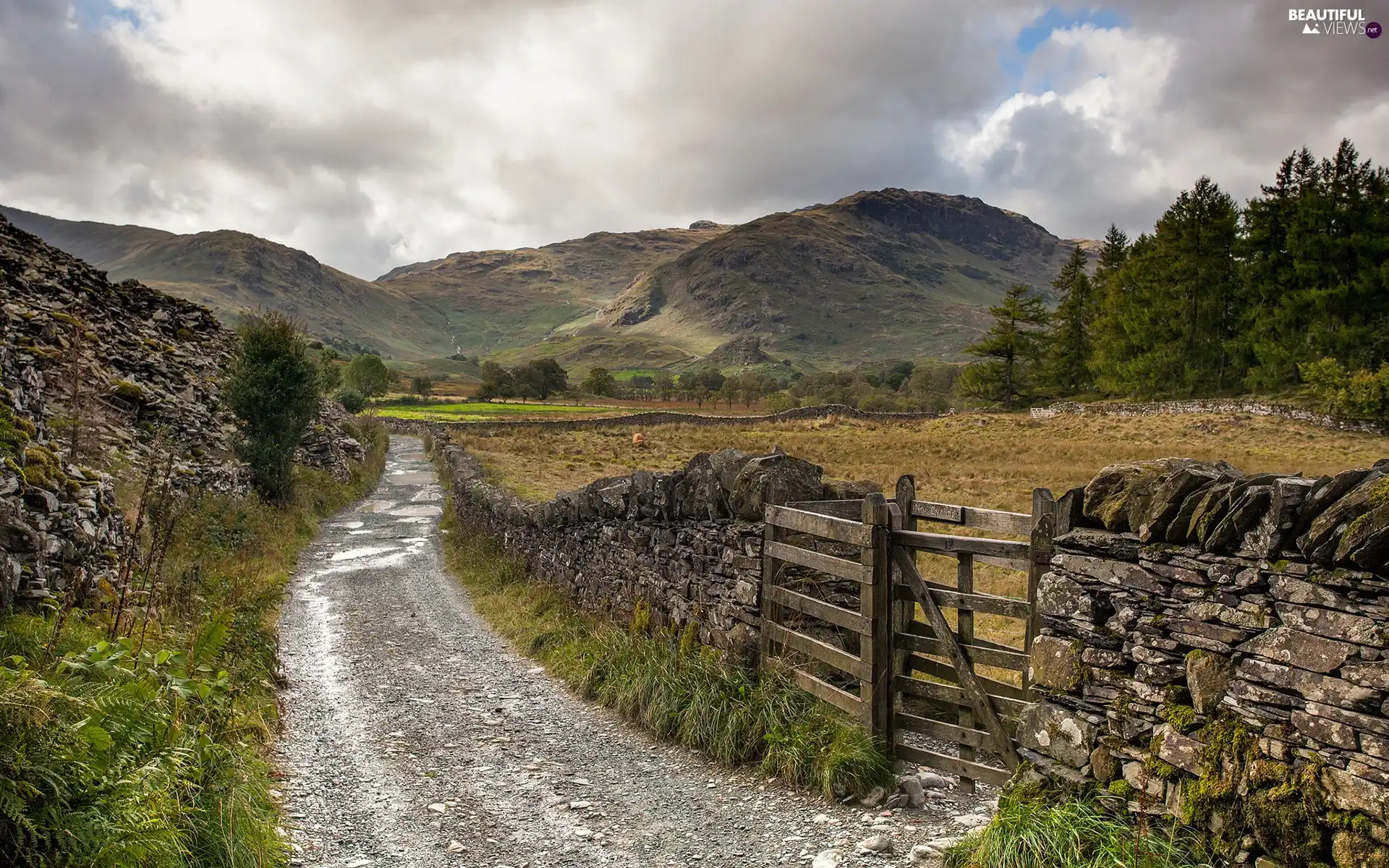 Mountains, Way, Meadow