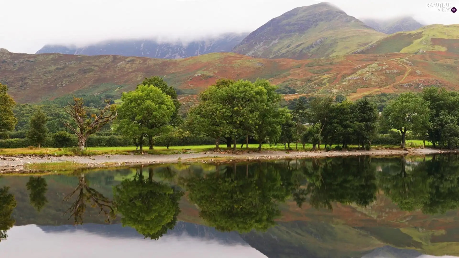 reflection, lake, Mountains, trees