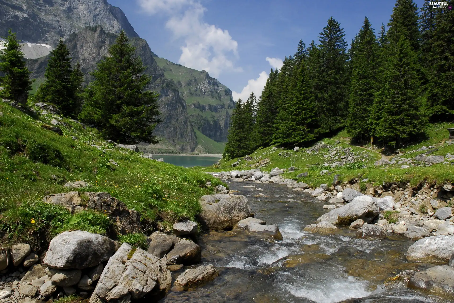 River, woods, Mountains, Stones