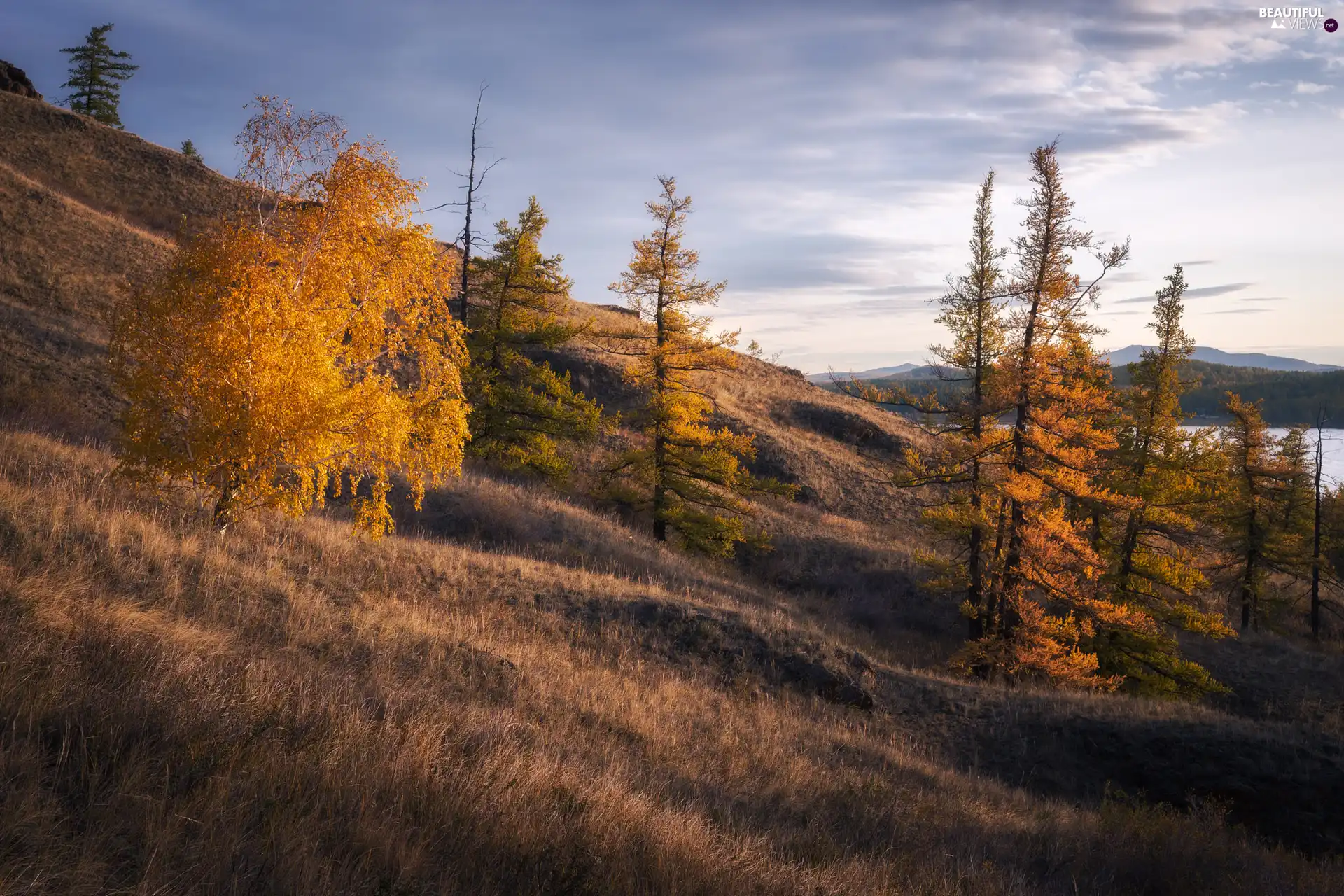 The Hills, trees, lake, viewes, autumn, grass, Mountains