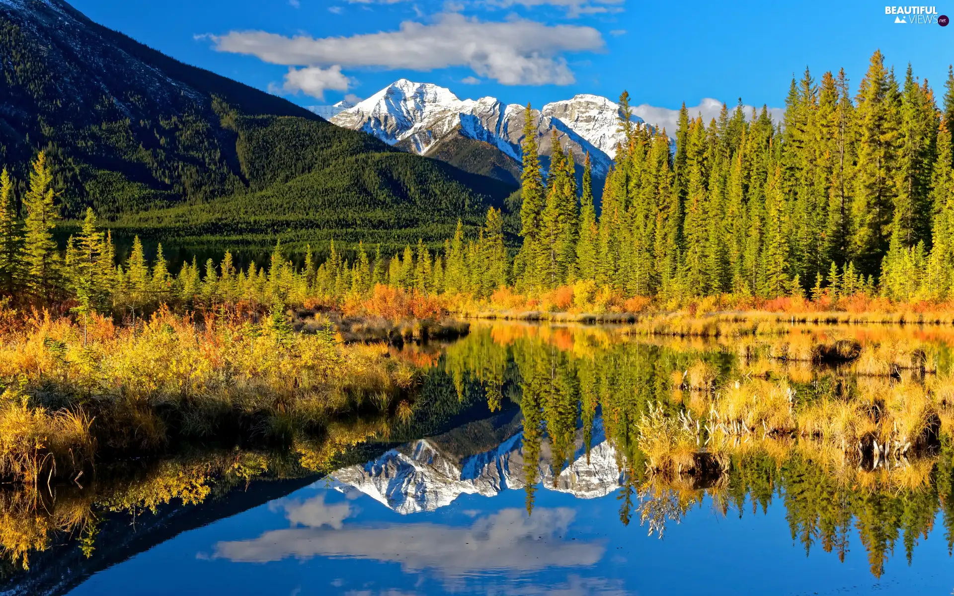 Mountains, autumn, forest, color, lake, reflection, viewes, Bush, trees