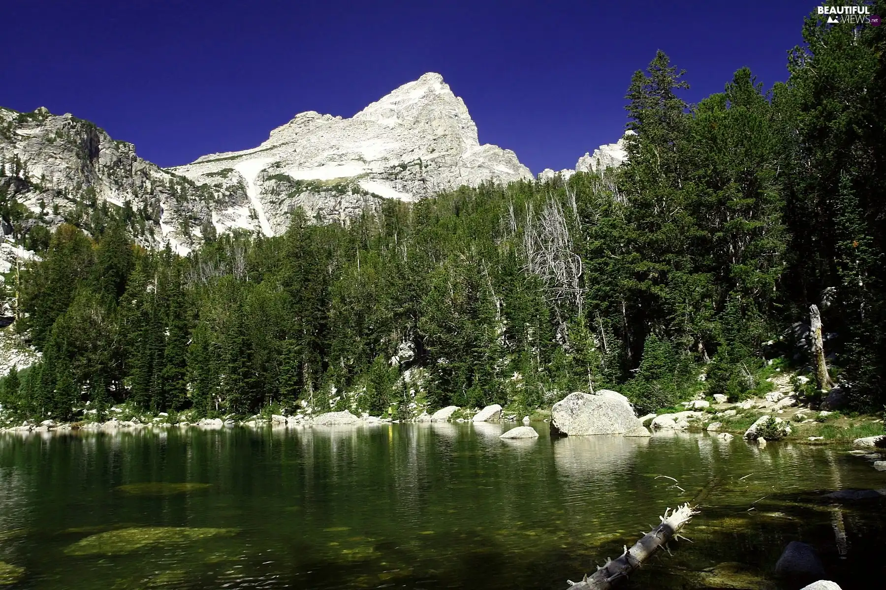 Mountains, lake, woods