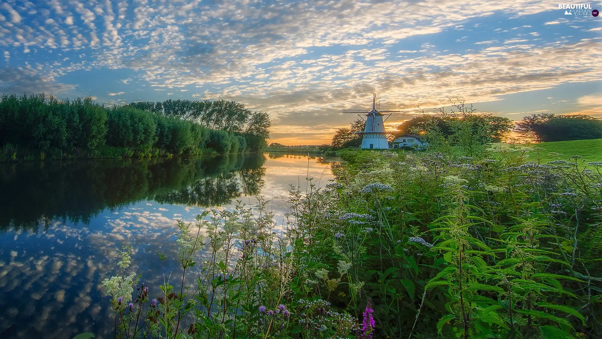 River, Netherlands, VEGETATION, Windmill, viewes, reflection, clouds, Geldermalsen Municipality, Province of Gelderland, Sunrise, trees