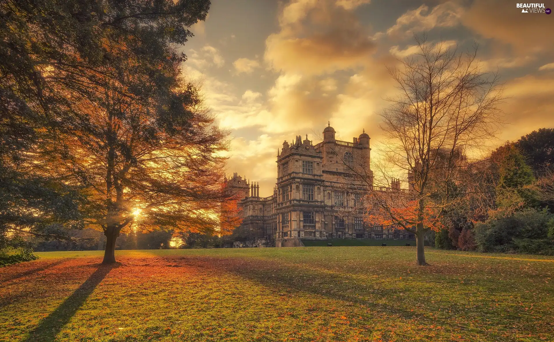 Nottingham, England, Wollaton Hall Museum, Nottingham Natural History Museum, trees, viewes, clouds, Park, autumn