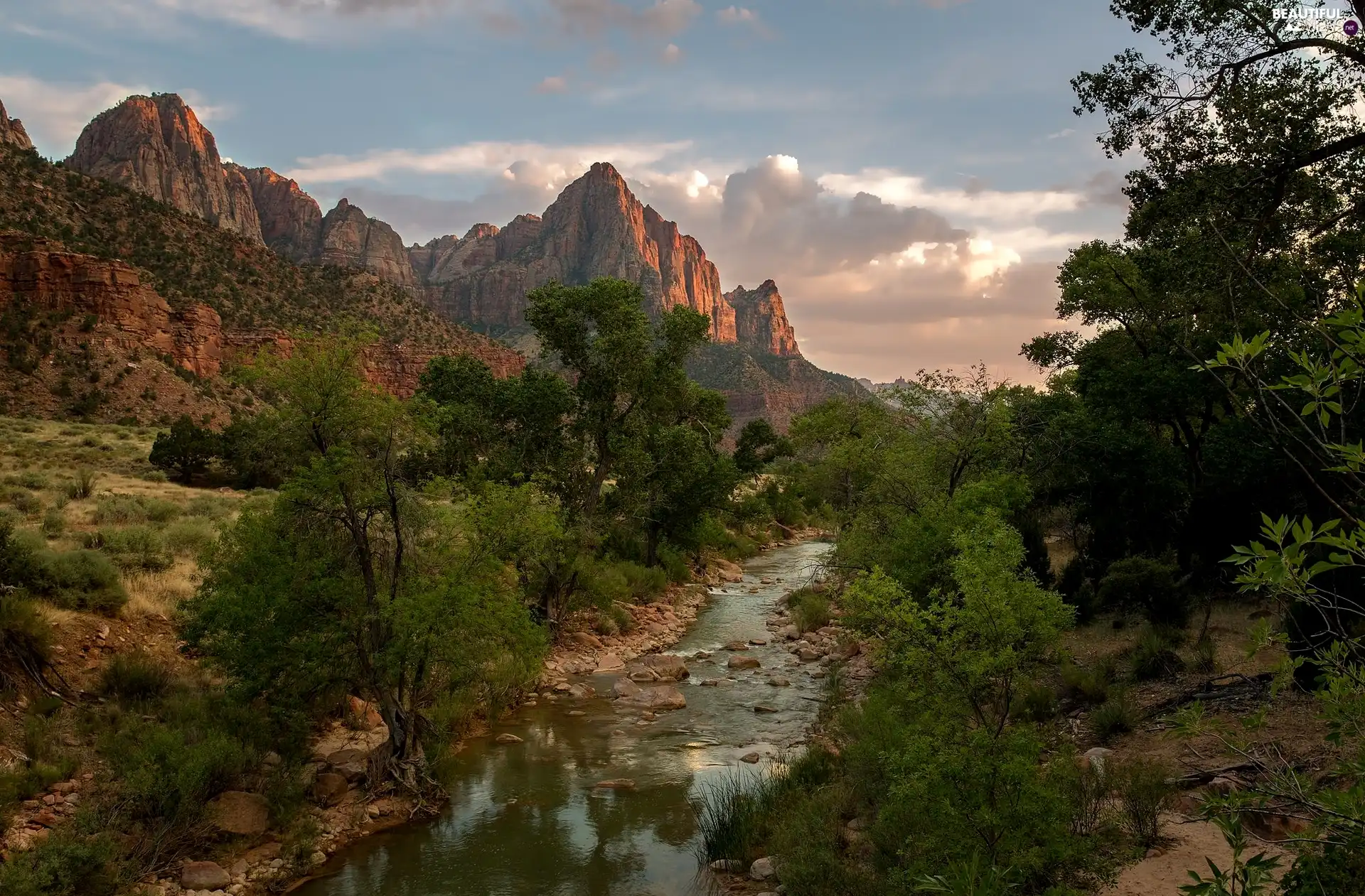 Utah State, Watchman Mountains, trees, Virgin River, Zion National Park, The United States, viewes