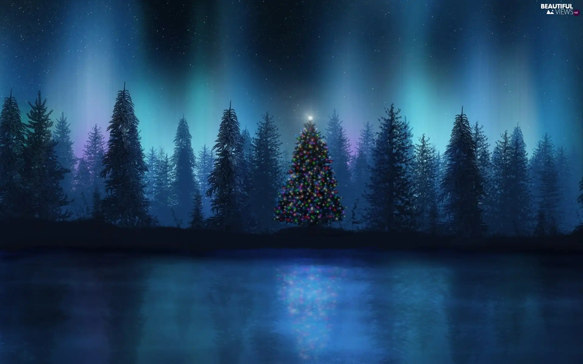 illuminated, forest, Night, christmas tree