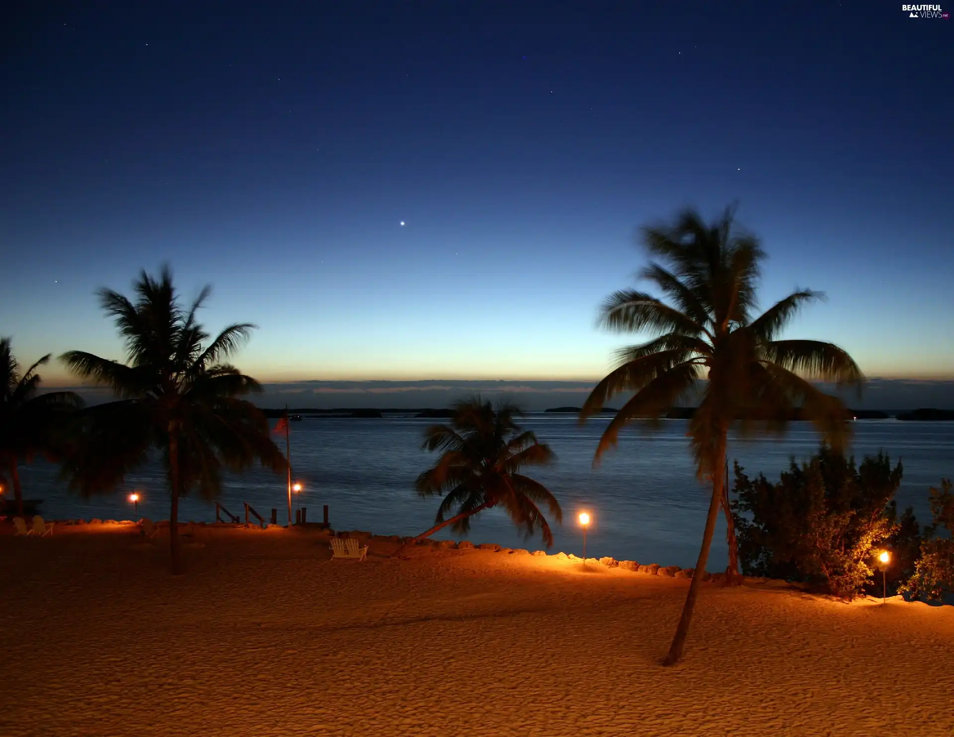 sea, Palms, Night, Beaches