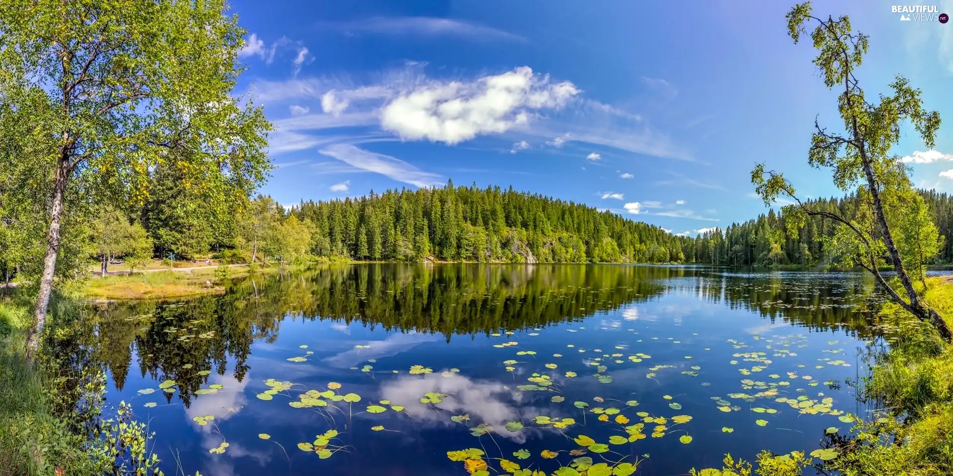 Norway, lake, forest