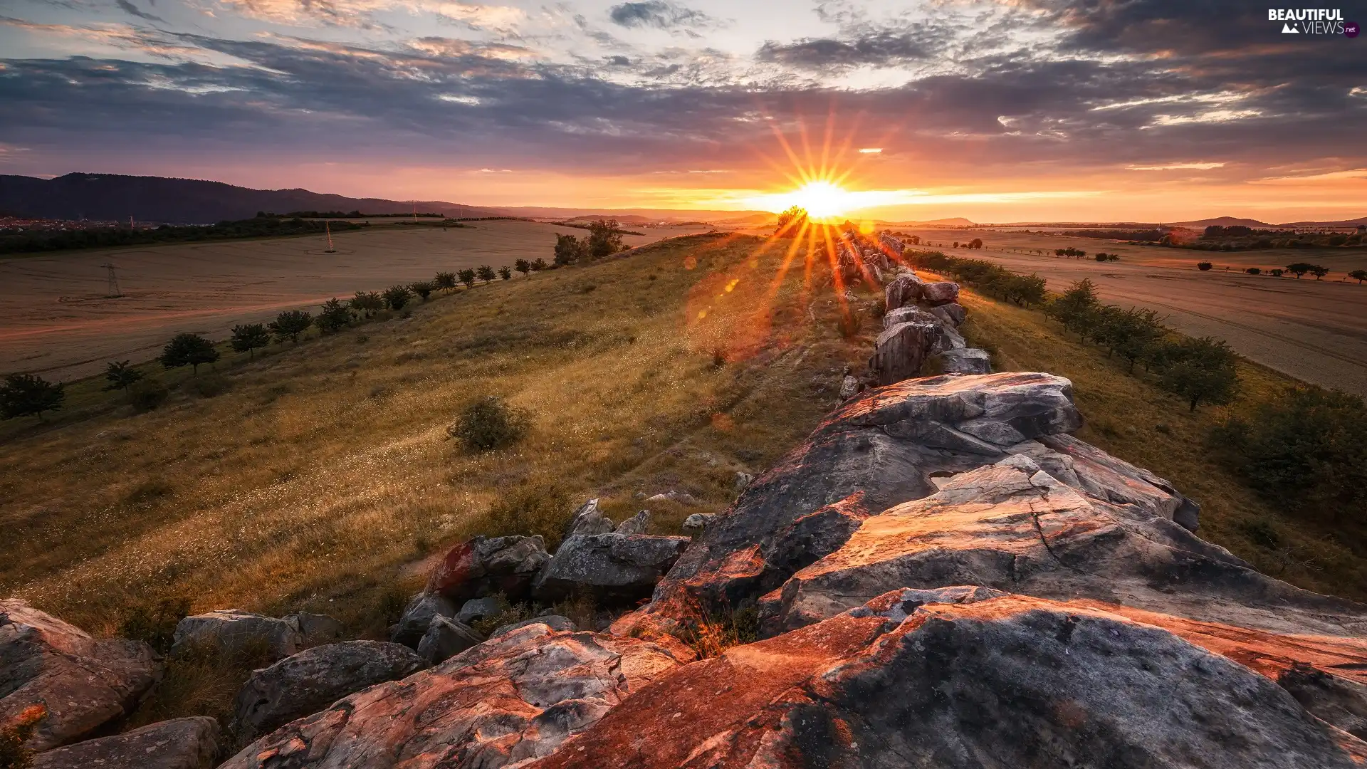 Thale City, Germany, rocks, Teufelsmauer Lookout, The Hills, viewes, trees, Harz National Park, Saxony, Stones, rays of the Sun