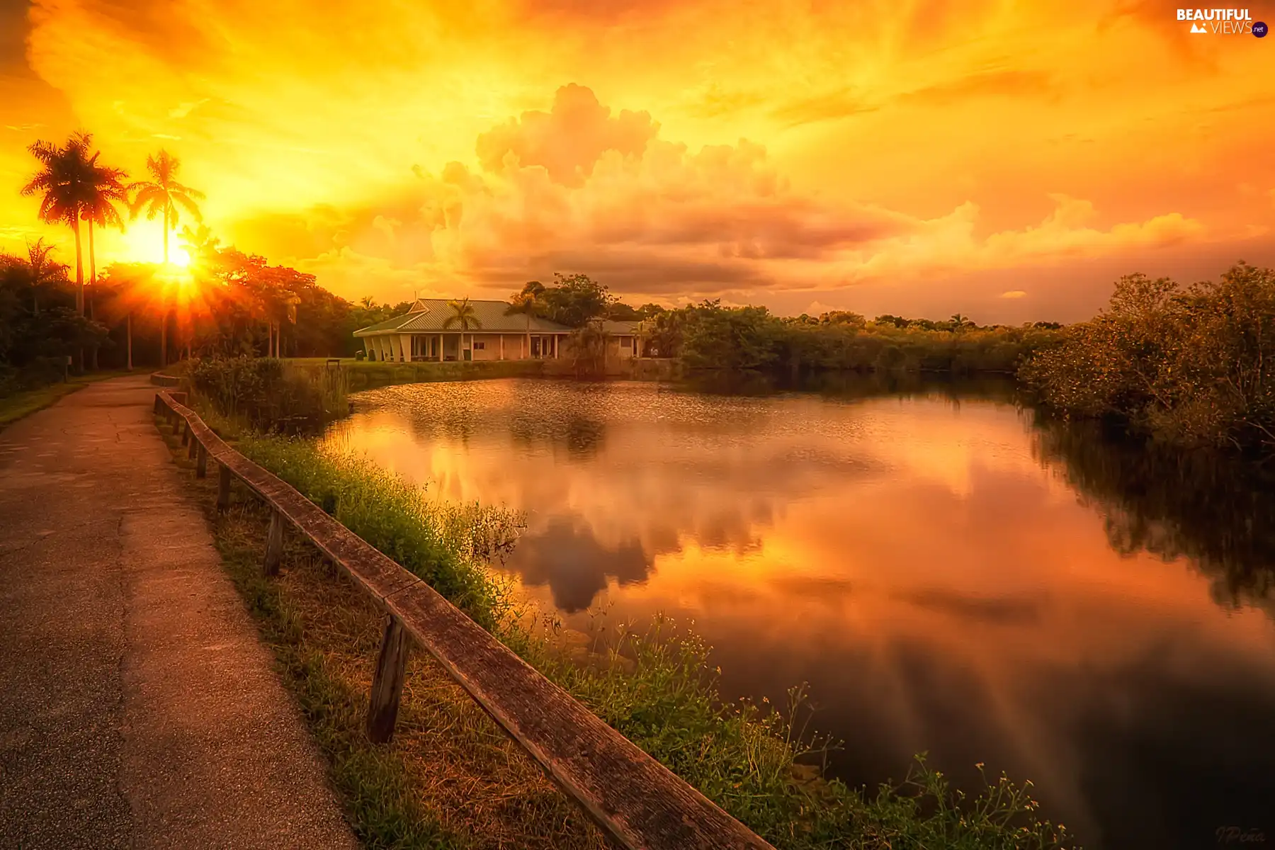 west, clouds, Palm, house, sun, lake