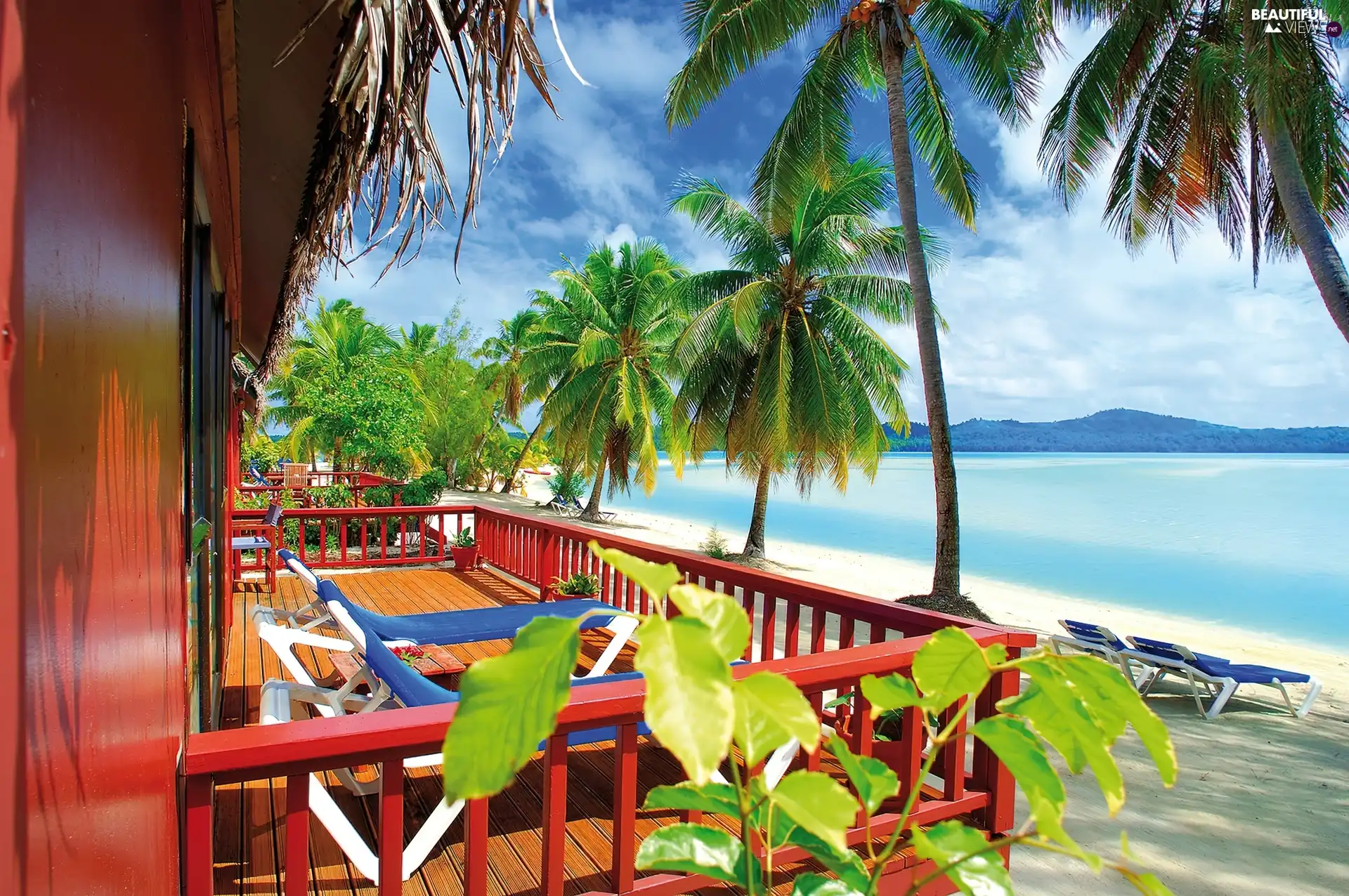 Aitutaki, terrace, Palms, iceland