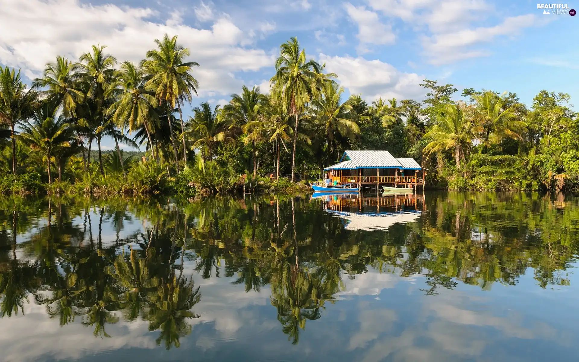 Palms, lake, Home